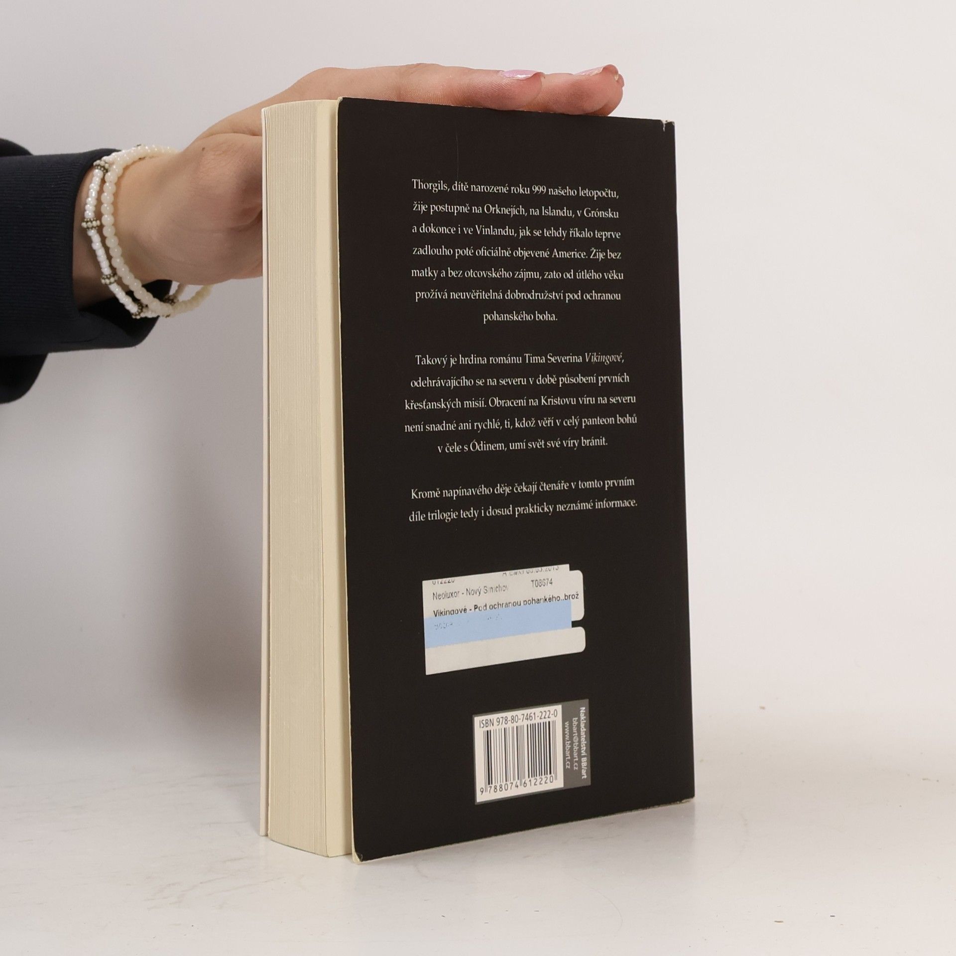 Timothy Severin Vikingové 1. Pod ochranou pohanského boha