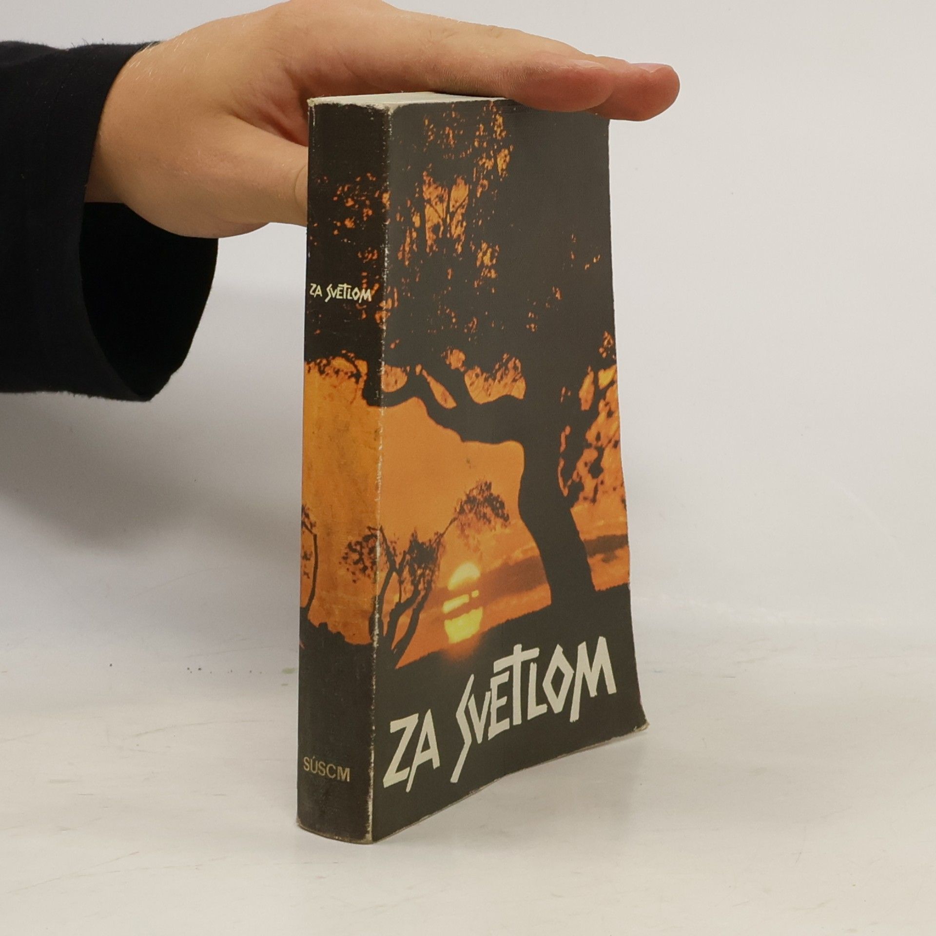 Anton Botek Za svetlom