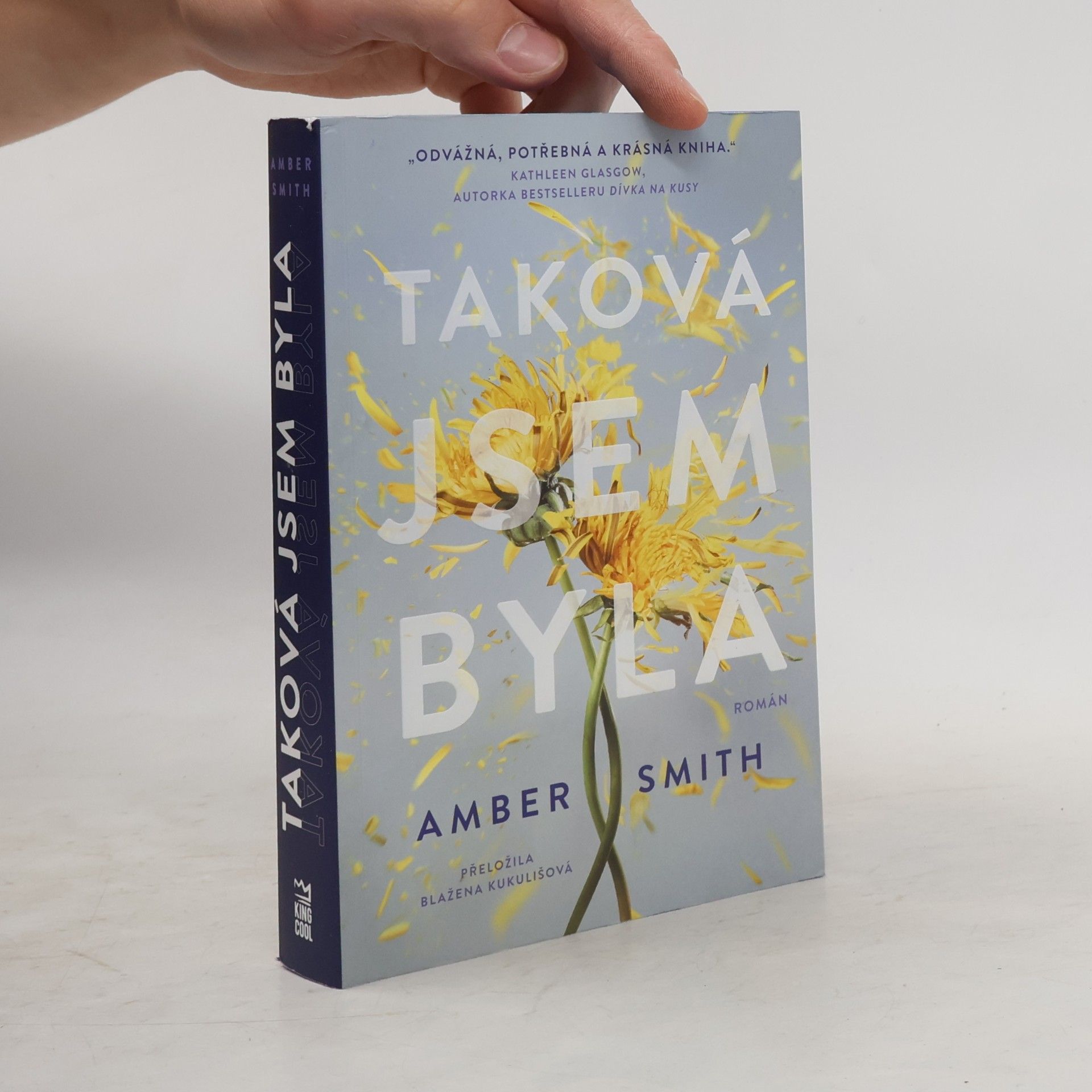 Amber Smith Taková jsem byla
