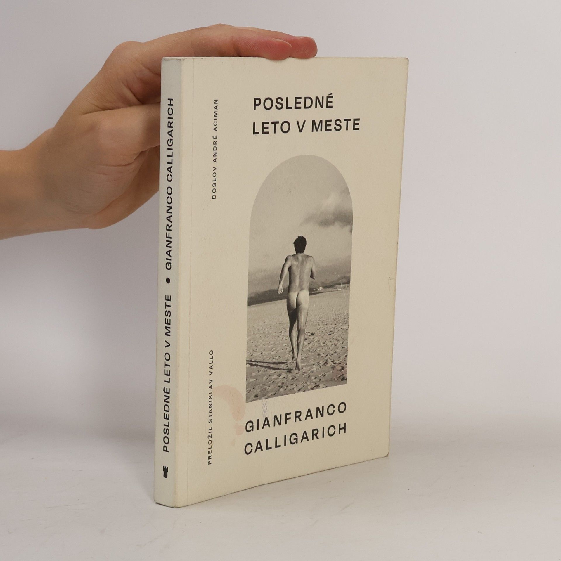 Gianfranco Calligarich Posledné leto v meste