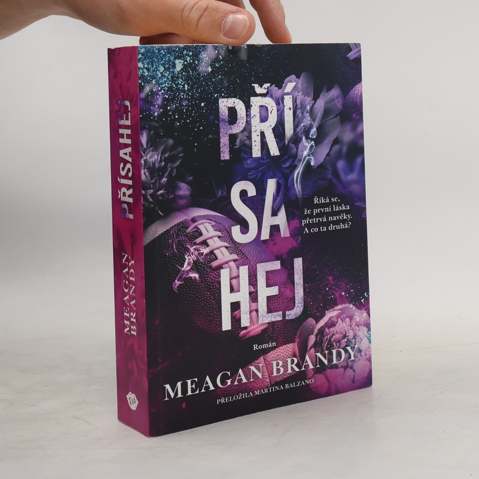 Meagan Brandy Přísahej