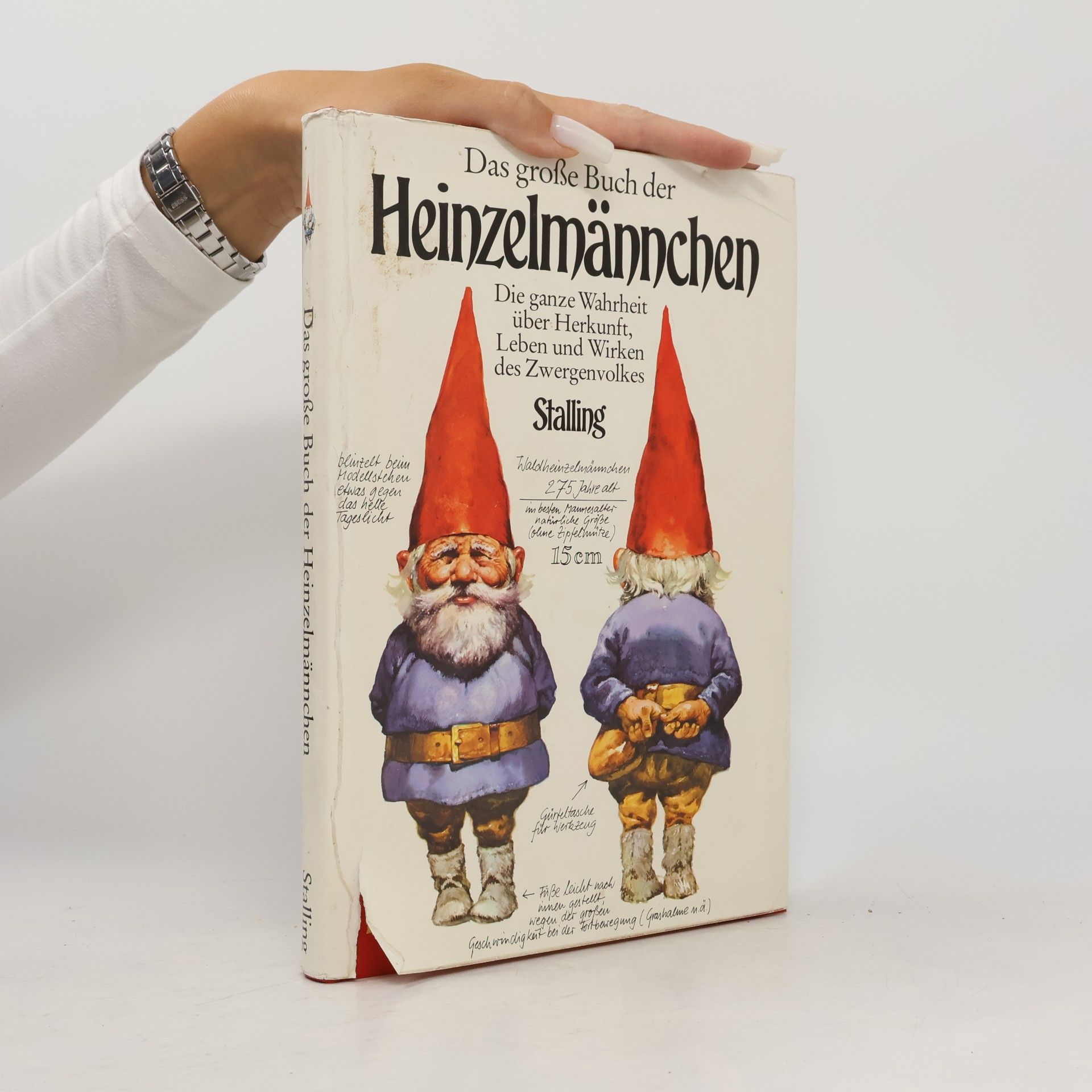 Wil Huygen Das grosse Buch der Heinzelmännchen