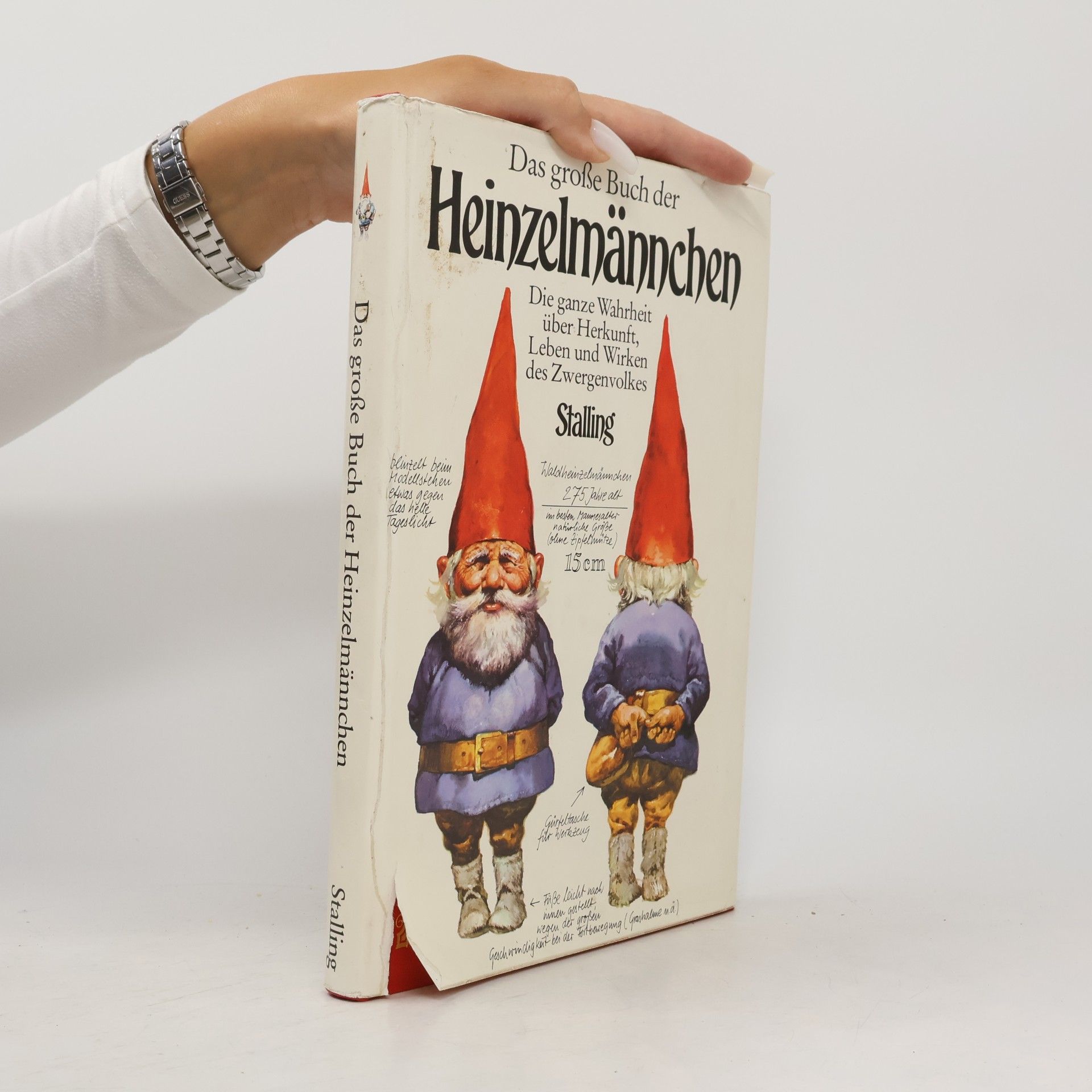 Wil Huygen Das grosse Buch der Heinzelmännchen