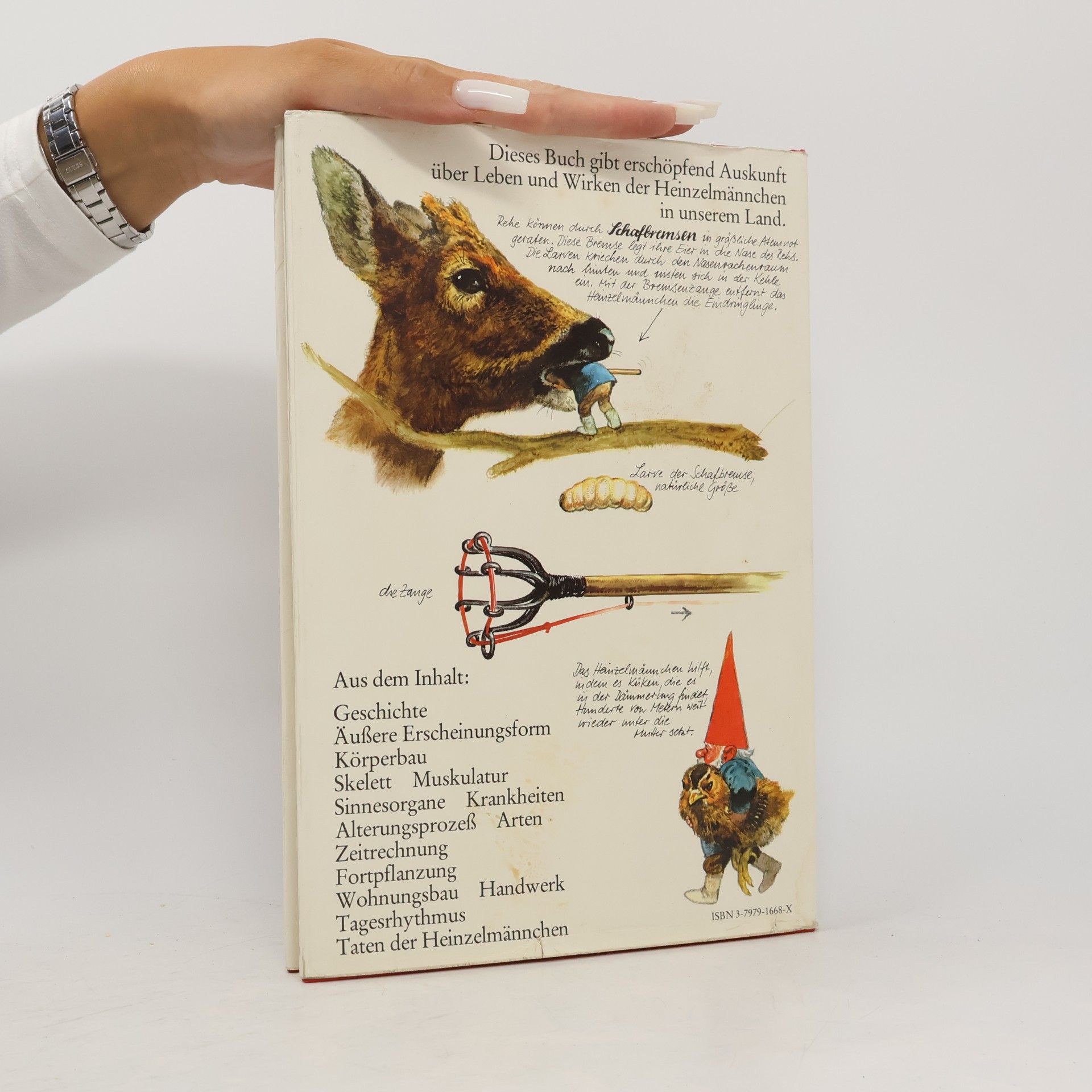 Wil Huygen Das grosse Buch der Heinzelmännchen