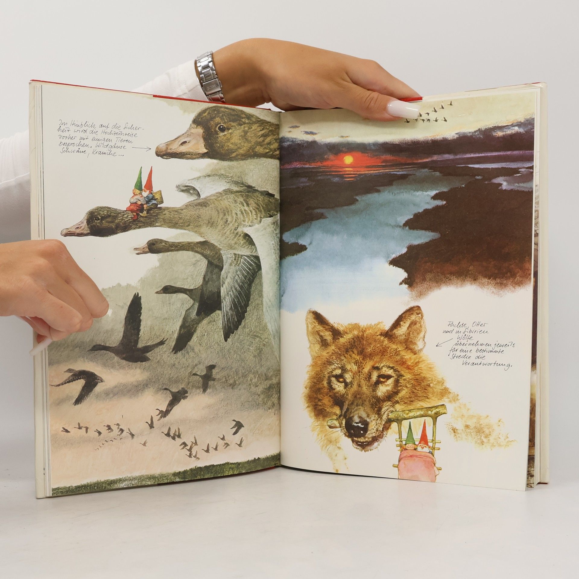 Wil Huygen Das grosse Buch der Heinzelmännchen