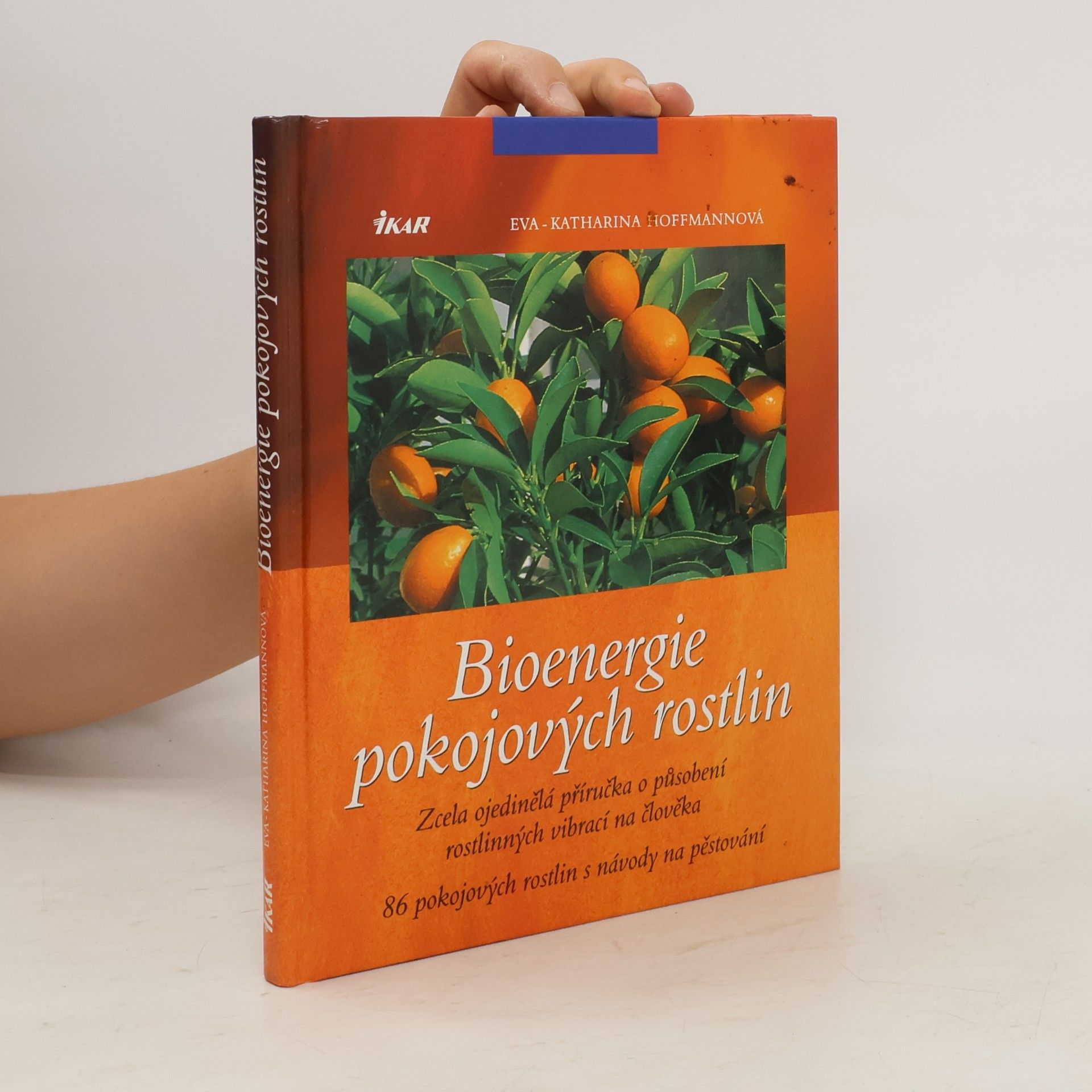 Eva Katharina Hoffmann Bioenergie pokojových rostlin