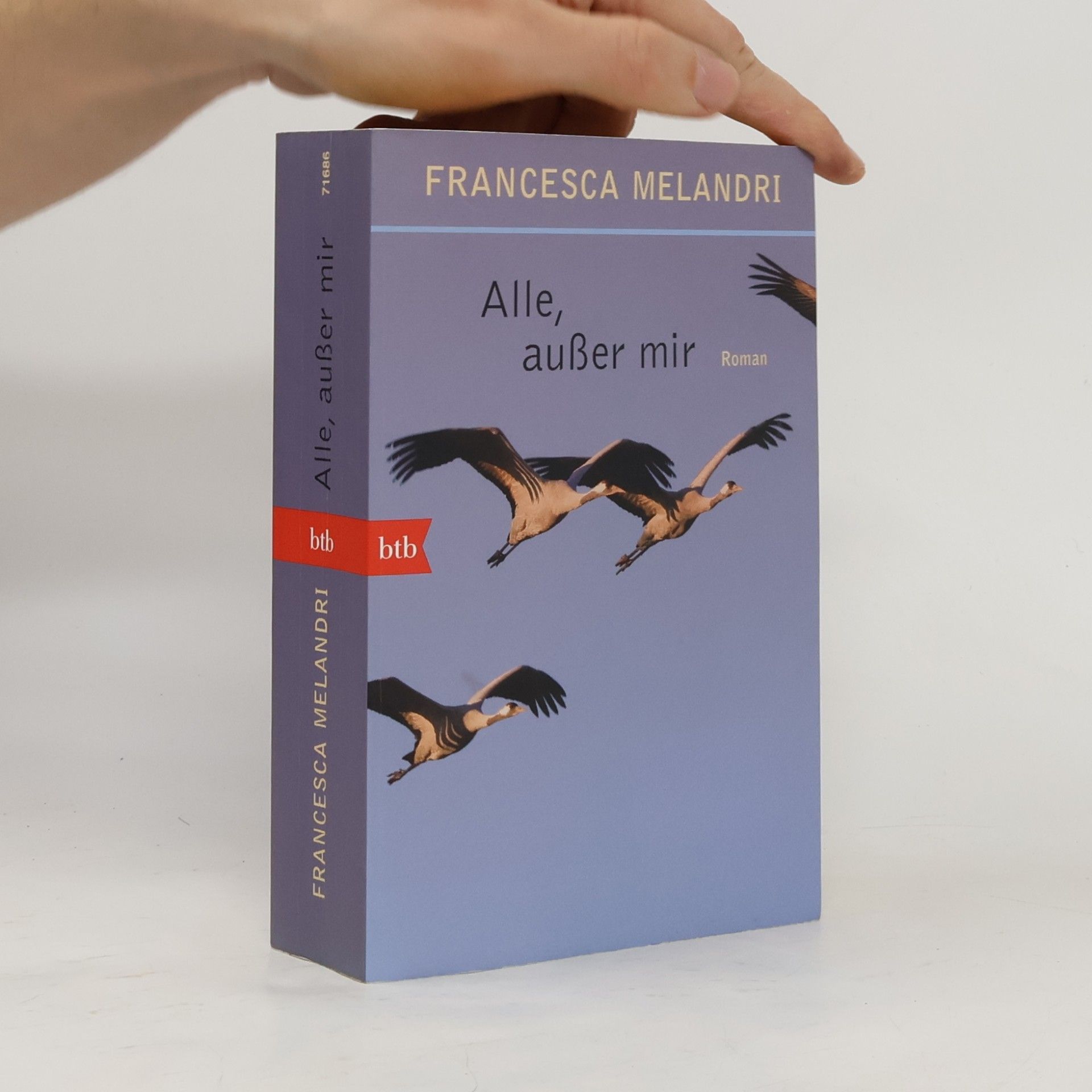 Francesca Melandri Alle, außer mir