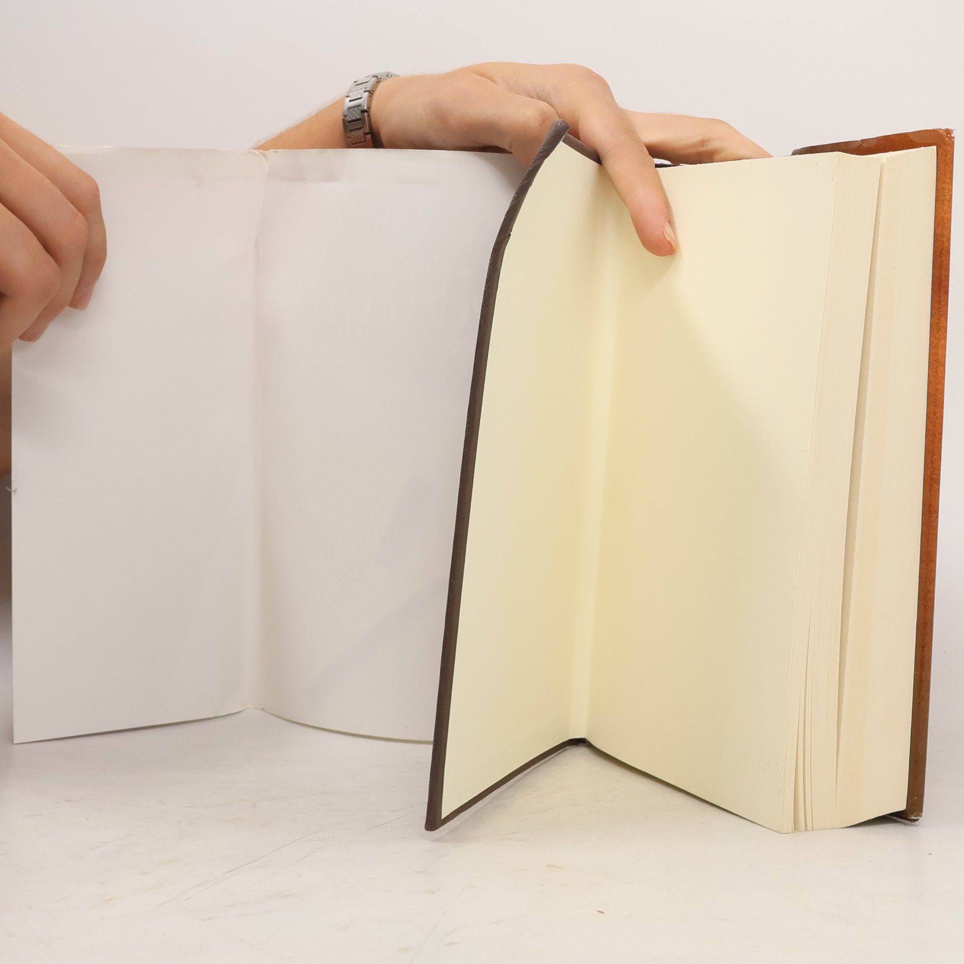 Dudley W. Buffa Obladì obladà: L'imputato
