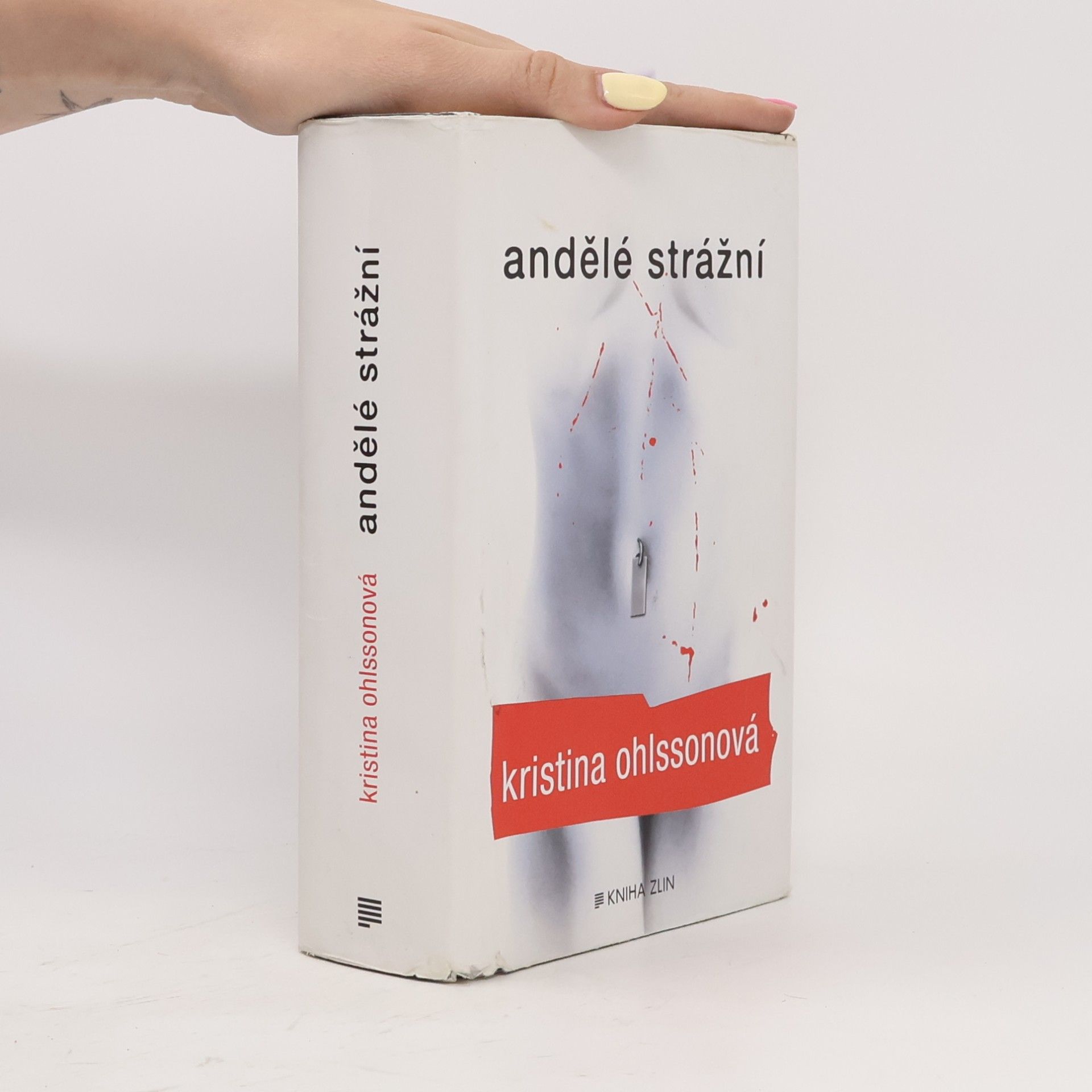 Kristina Ohlssonová Andělé strážní