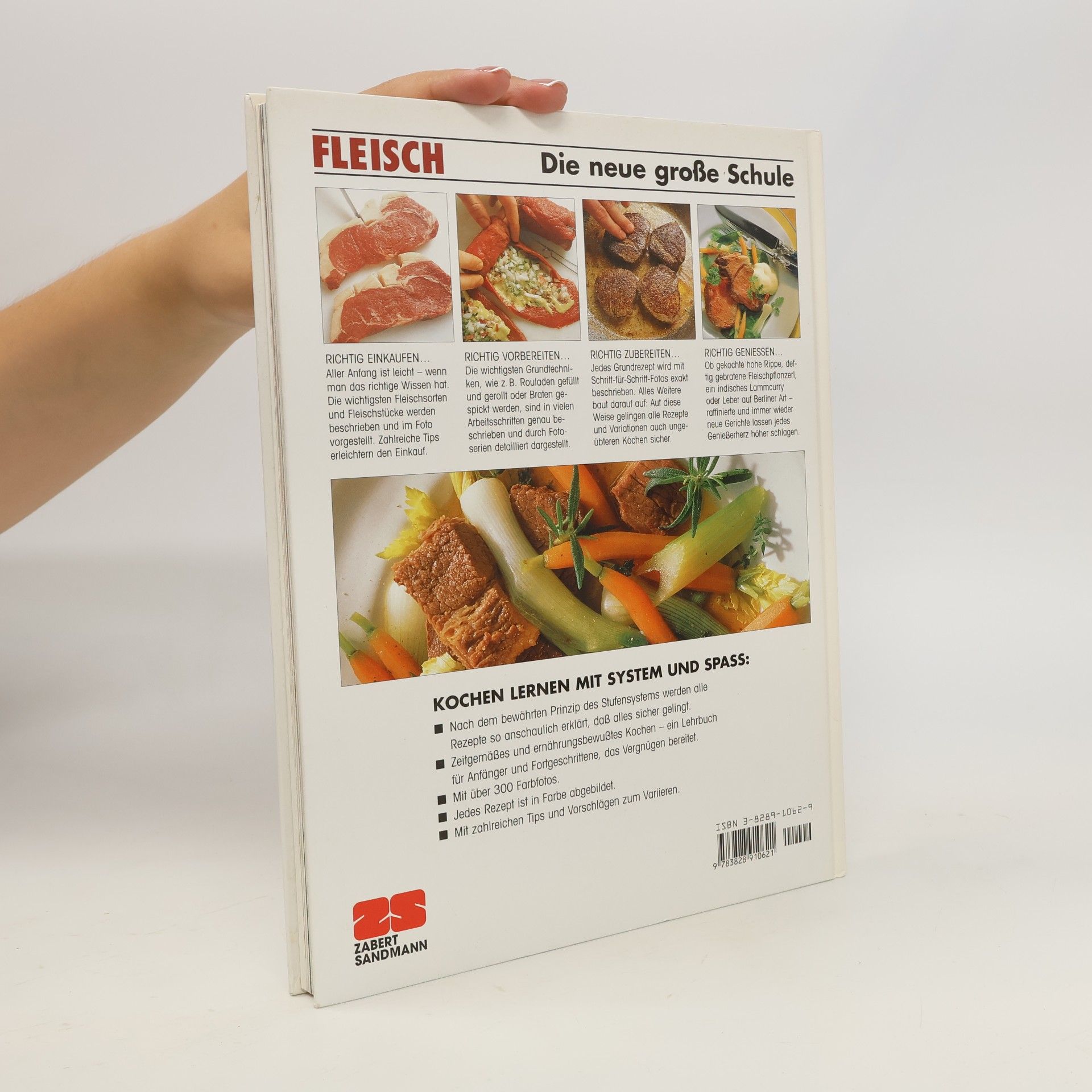 Autorenkollektiv Fleisch. Die neue große Schule.