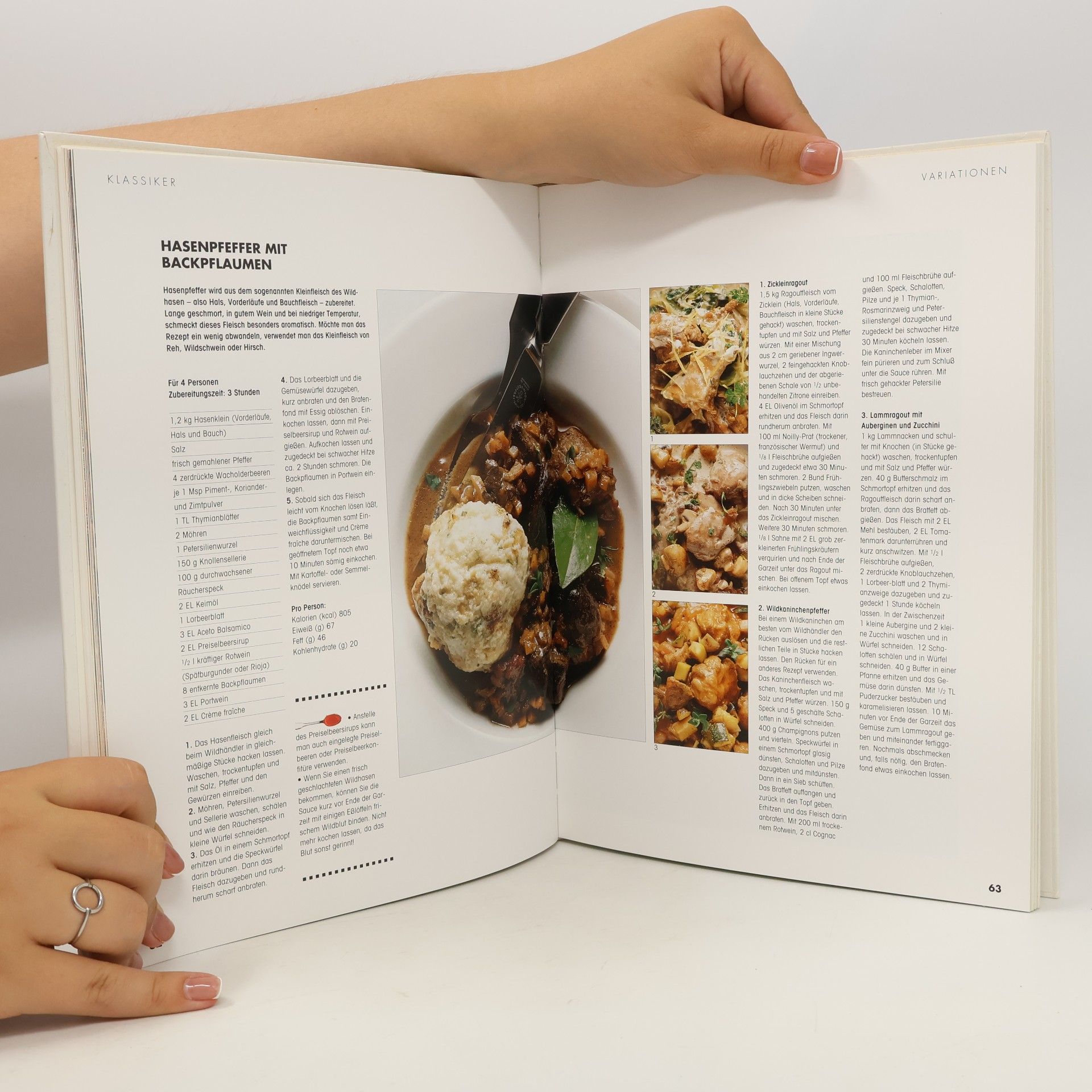 Autorenkollektiv Fleisch. Die neue große Schule.
