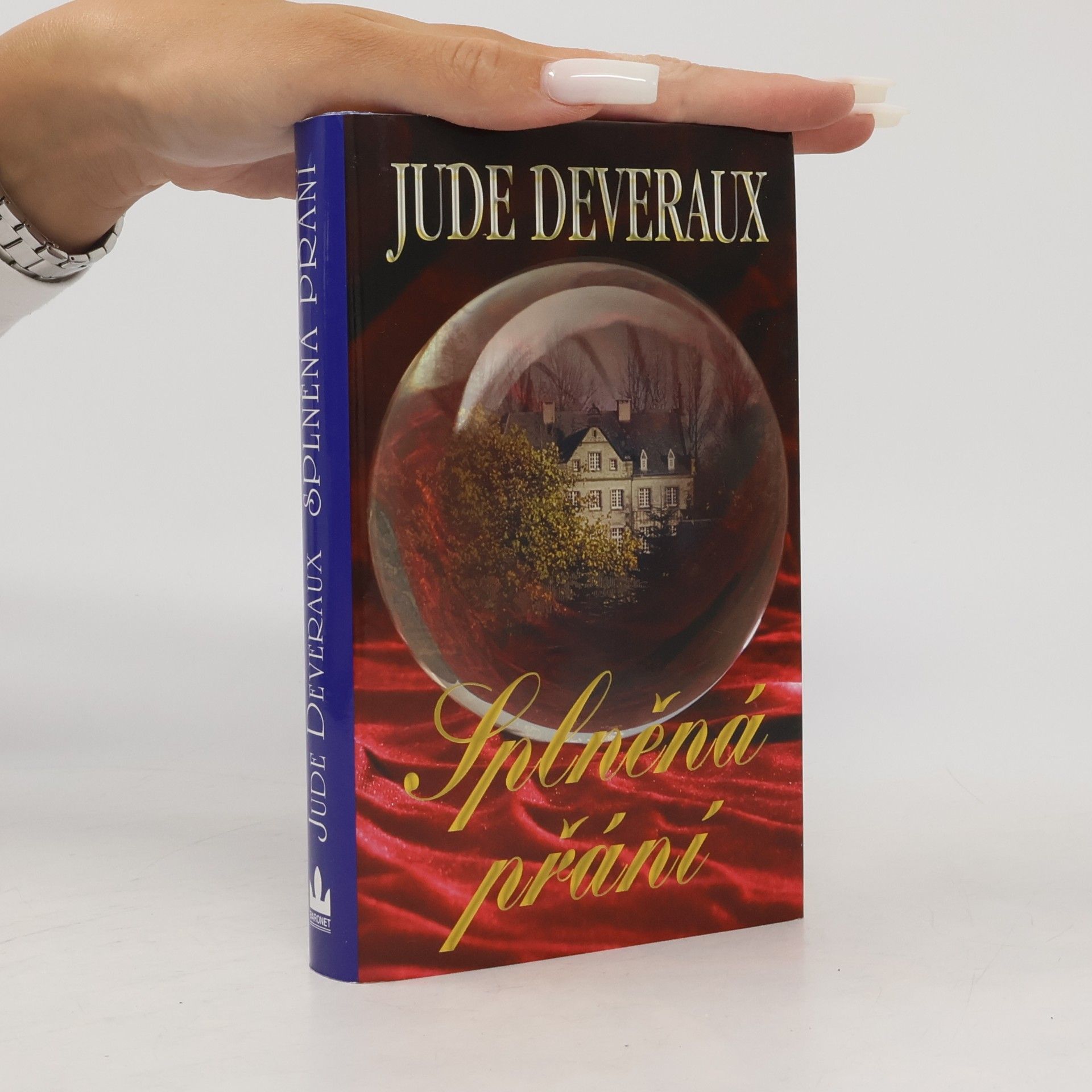 Jude Deveraux Splněná přání