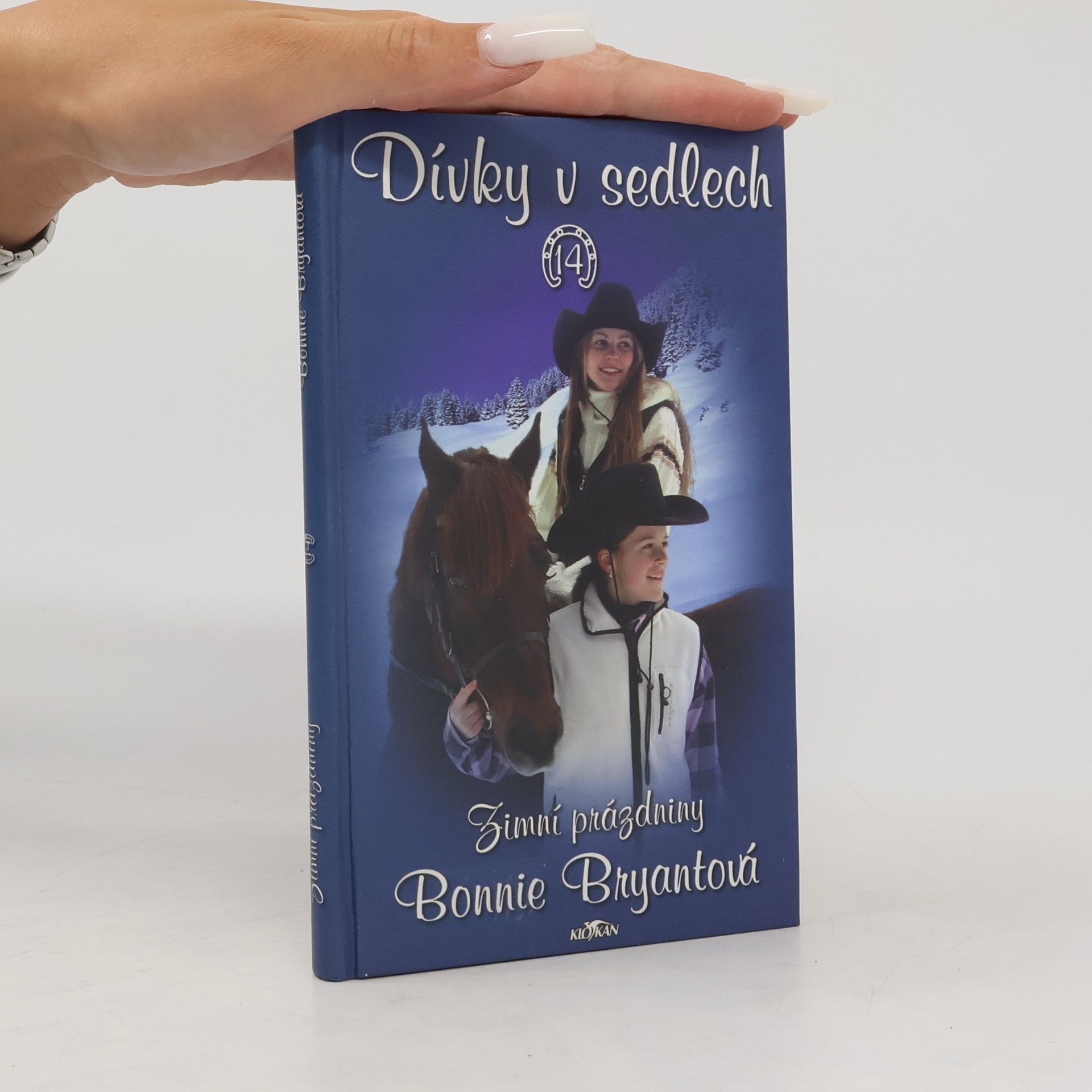 Bonnie Bryant Dívky v sedlech. 14, Zimní prázdniny