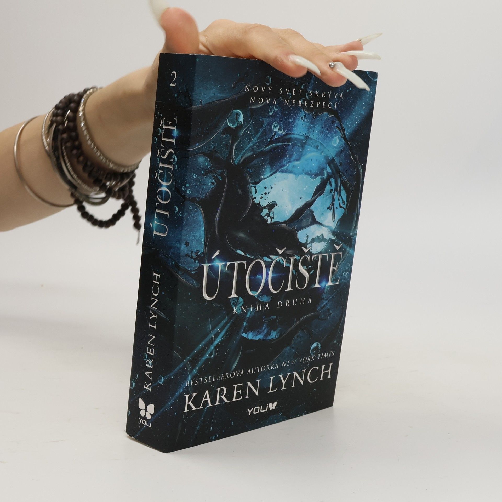 Karen Lynch Útočiště