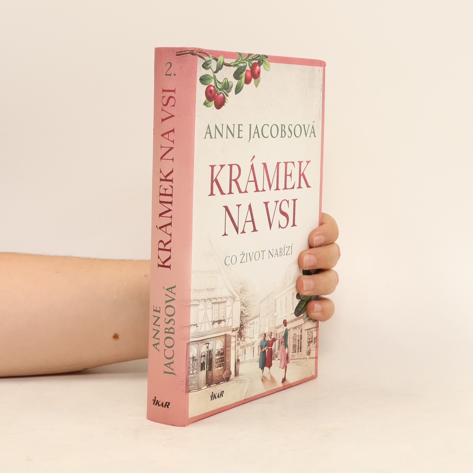 Anne Jacobs Krámek na vsi