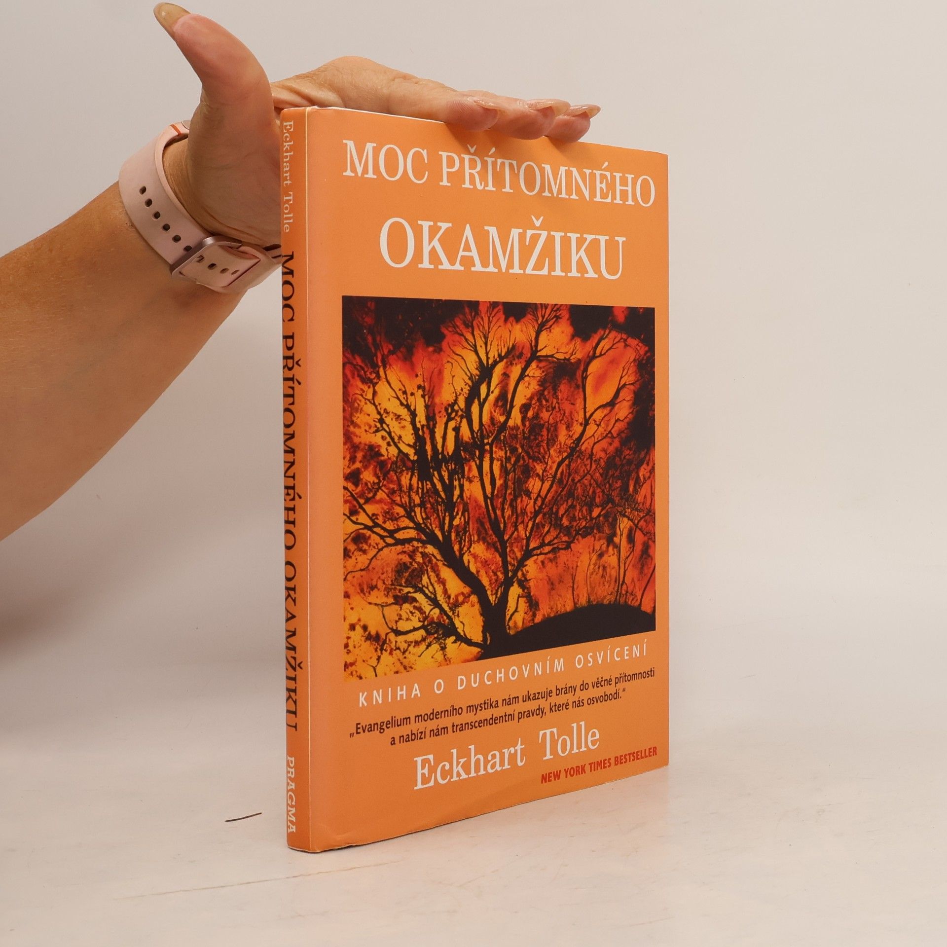 Eckhart Tolle Moc přítomného okamžiku