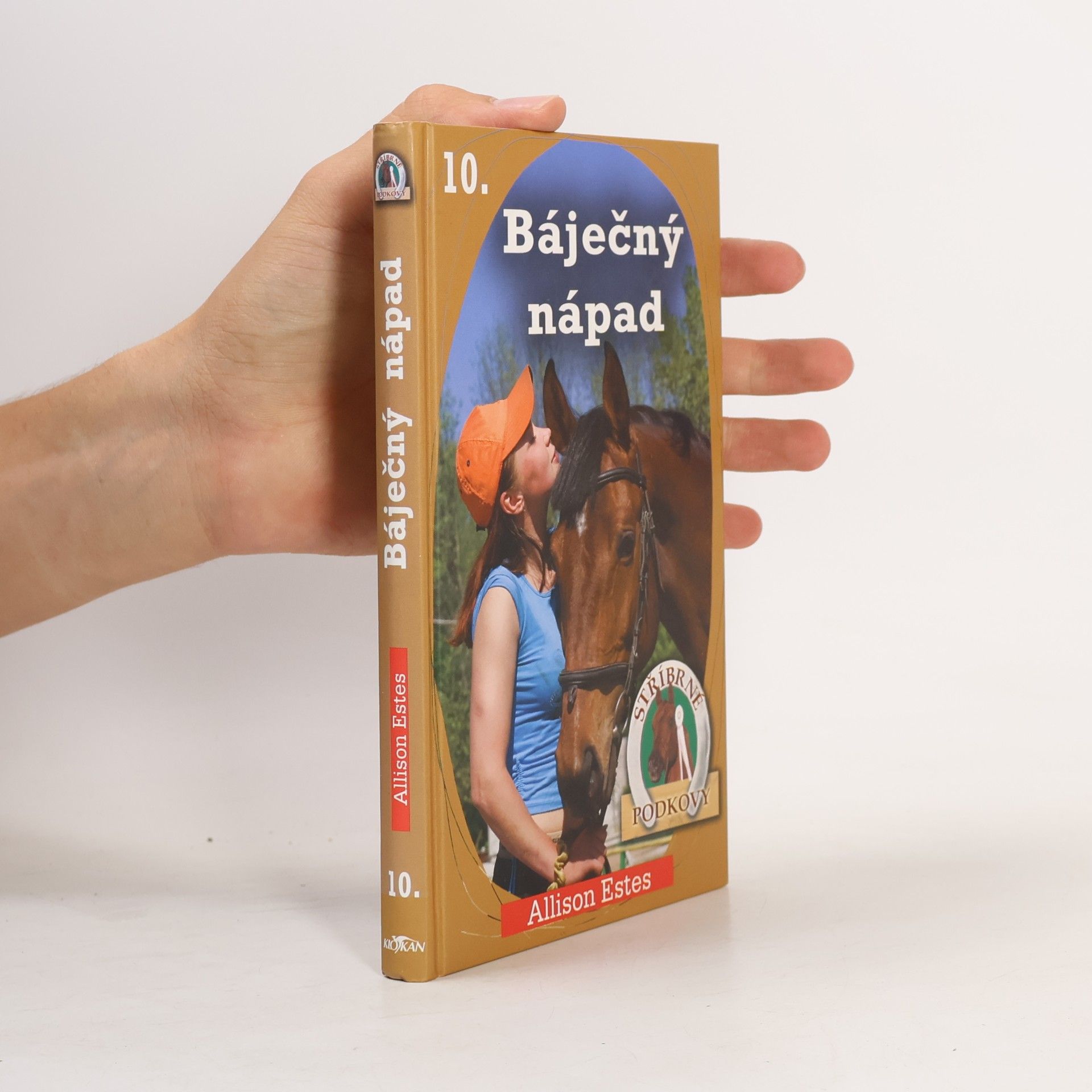 Allison Estes Stříbrné podkovy 10. Báječný nápad