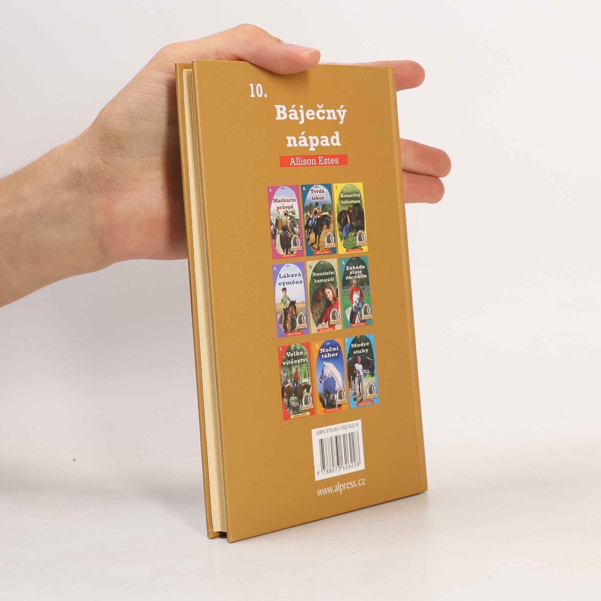 Allison Estes Stříbrné podkovy 10. Báječný nápad