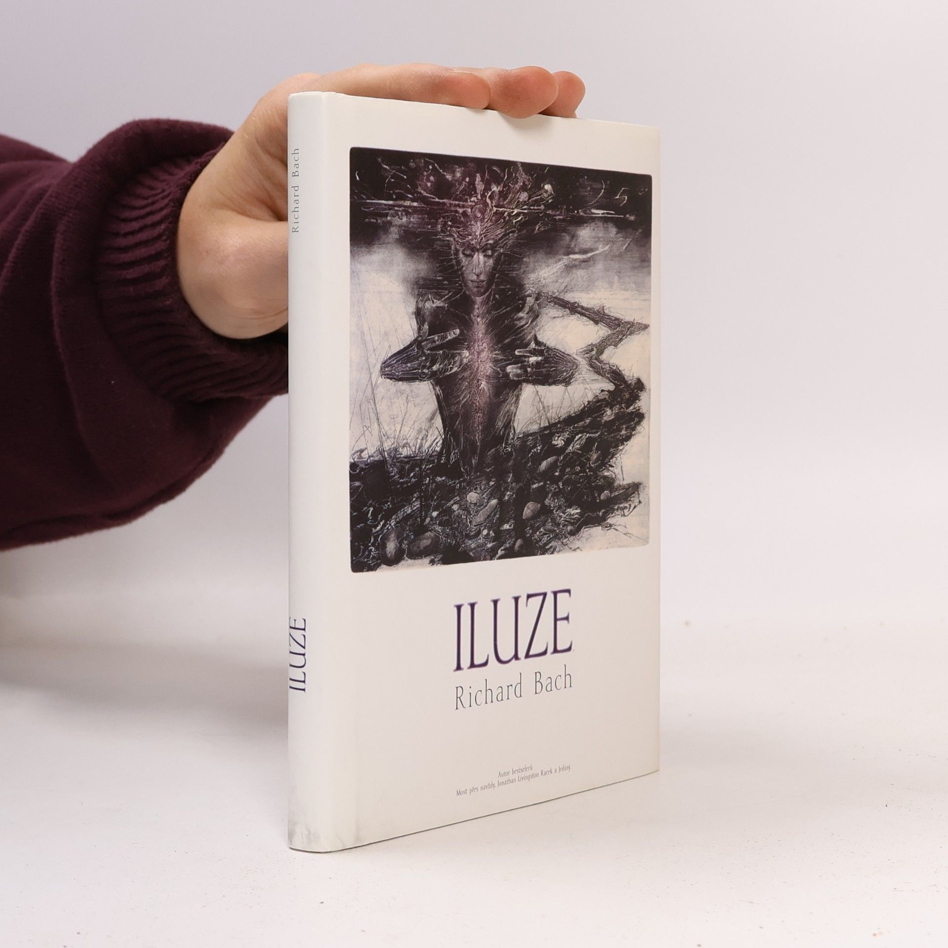 Richard Bach Iluze