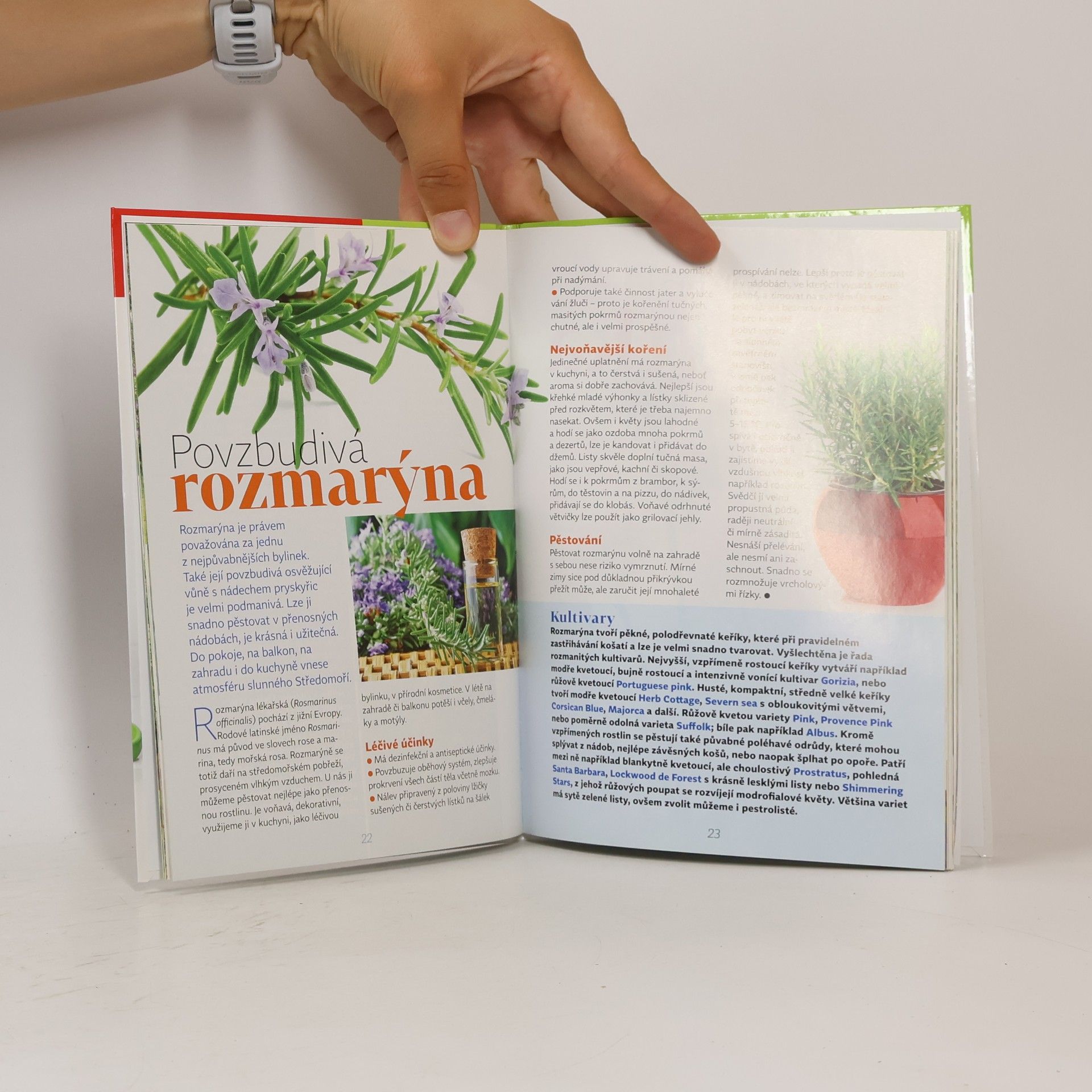 Collectif d'auteurs Pěstujeme bylinky