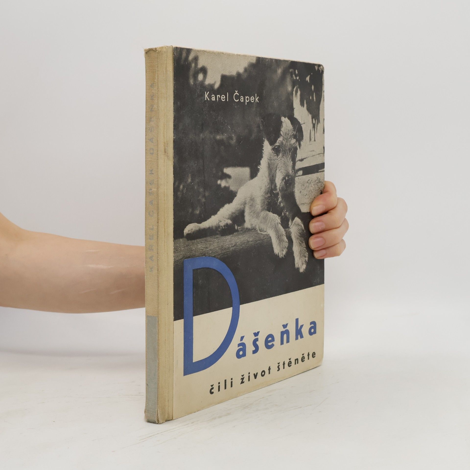 Karel Čapek Dášeňka, čili, život štěněte