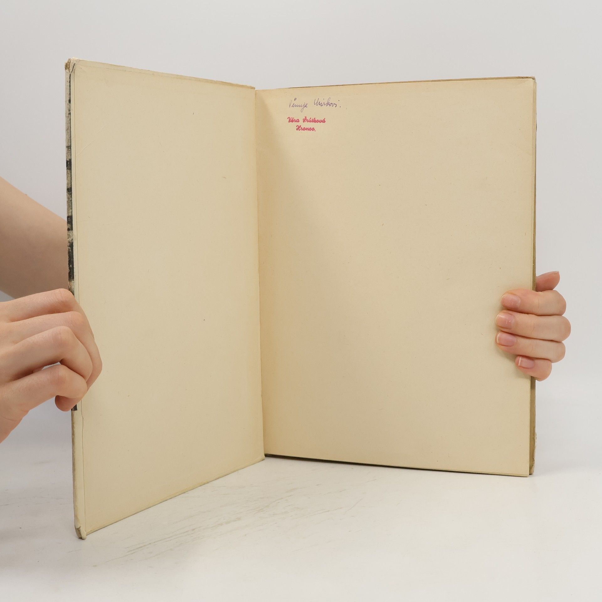 Karel Čapek Dášeňka, čili, život štěněte
