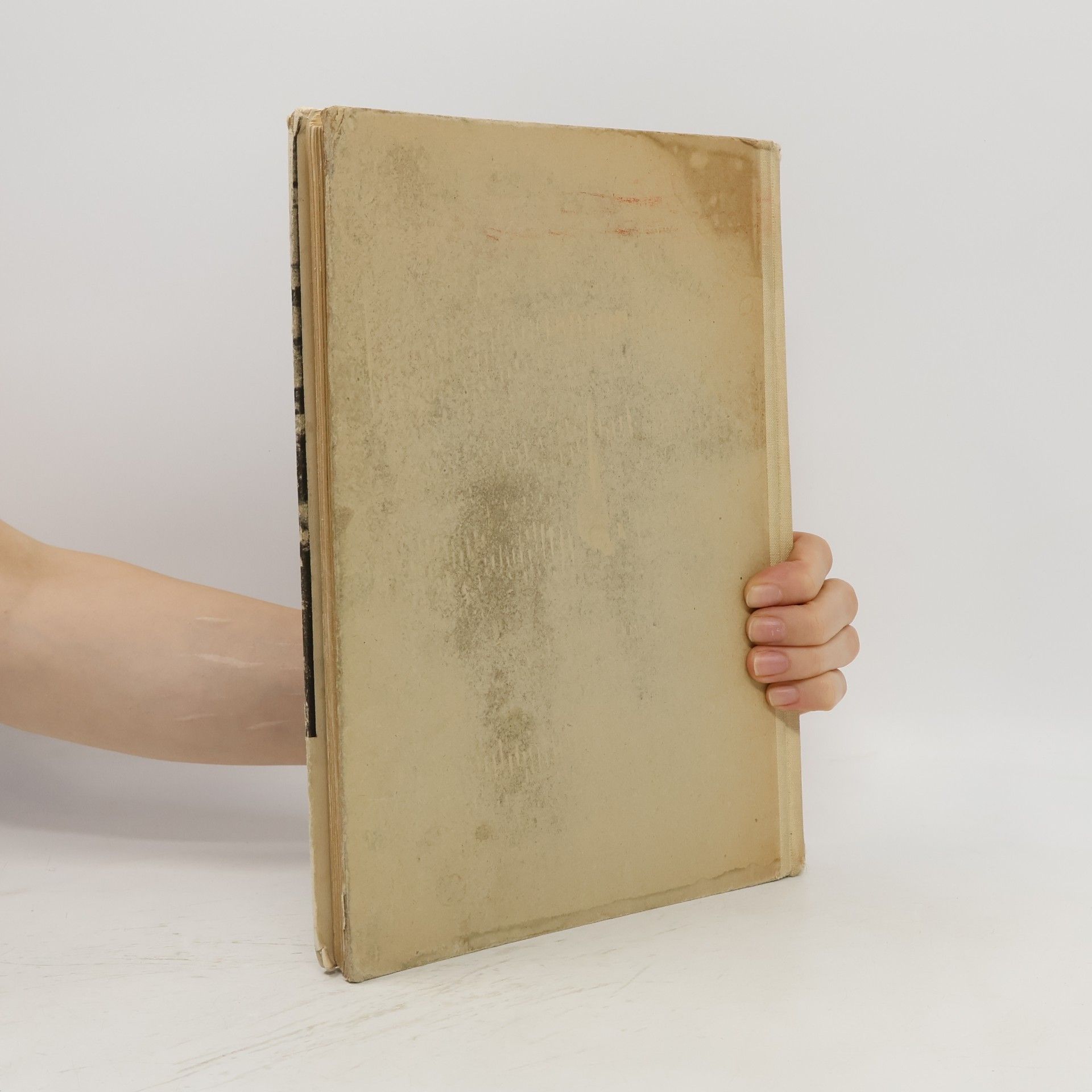 Karel Čapek Dášeňka, čili, život štěněte