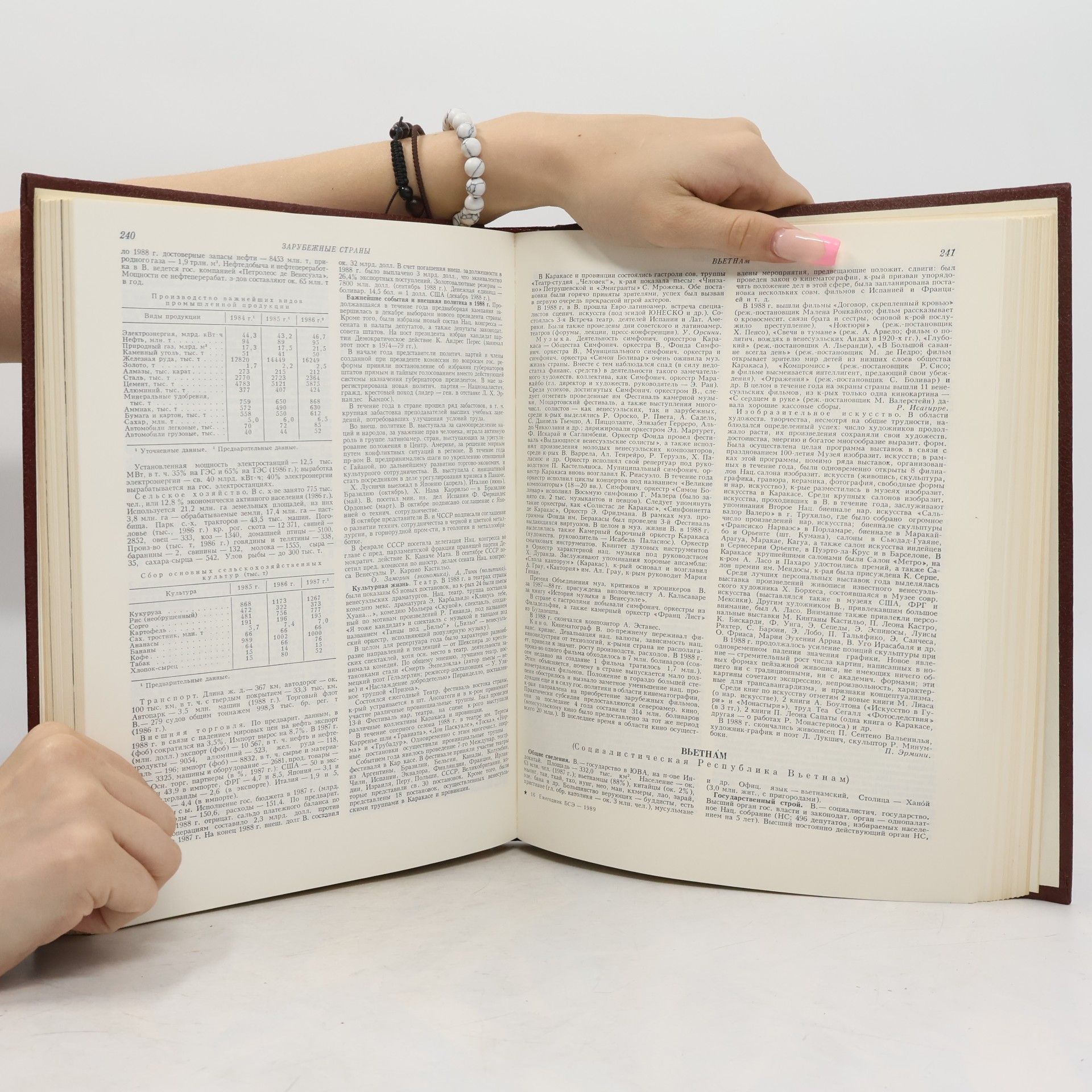 Autorenkollektiv Ежегодник 1989