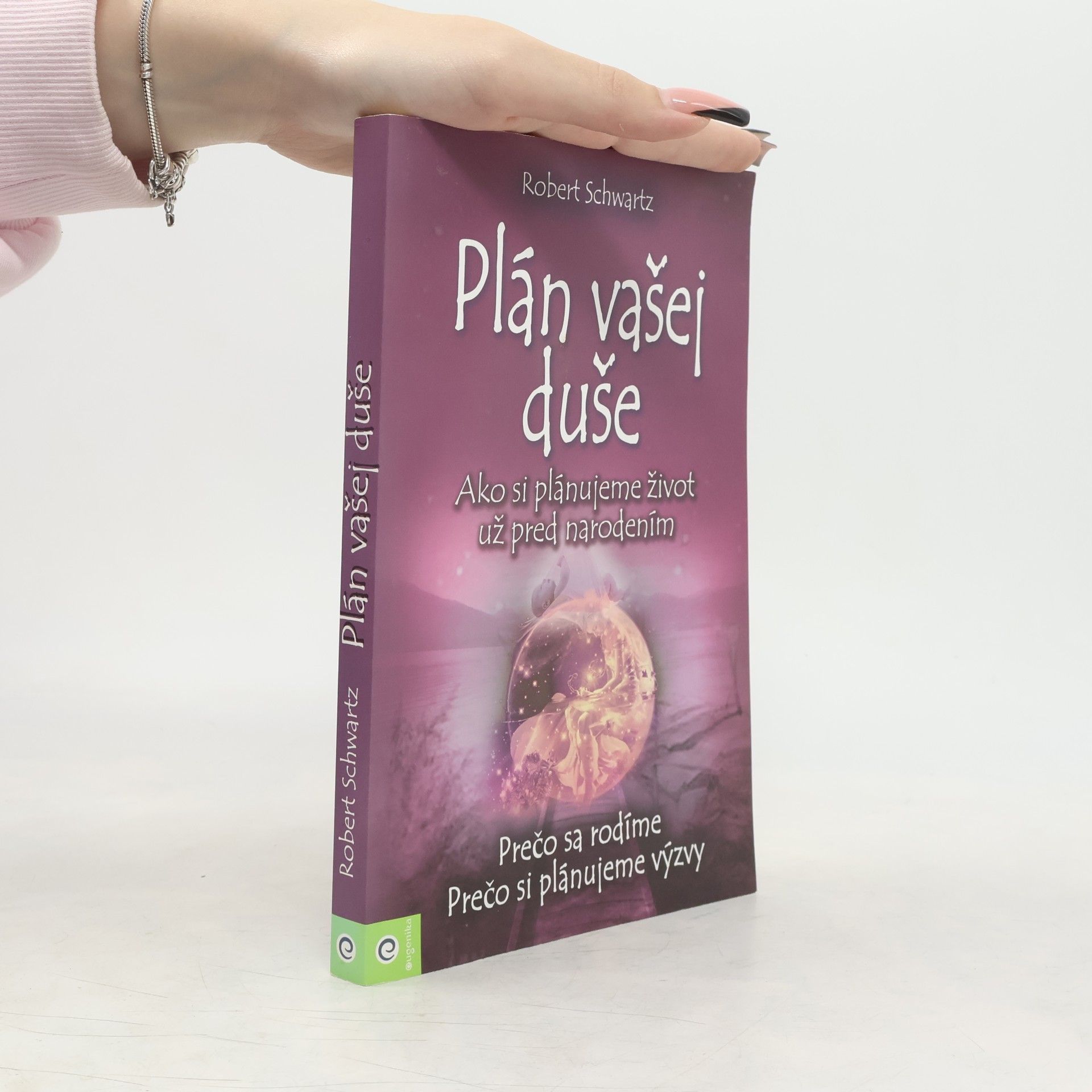 Robert Schwartz Plán vašej duše