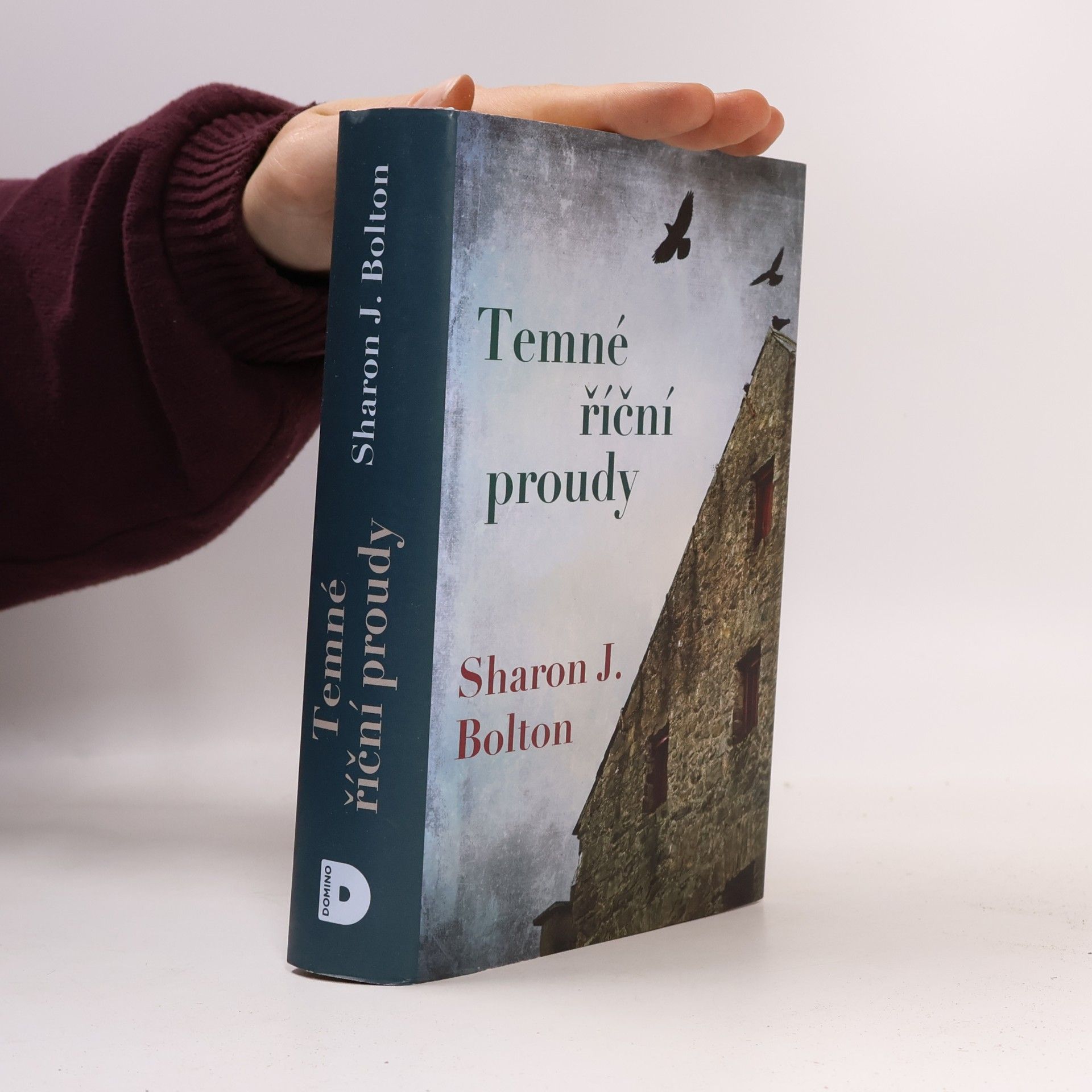 S. J. Bolton Temné říční proudy