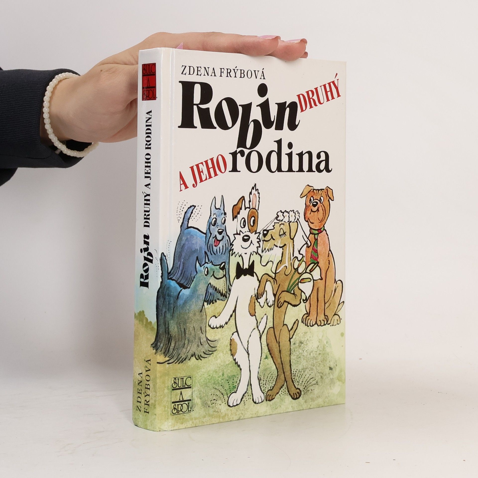 Robin Druhý a jeho rodina