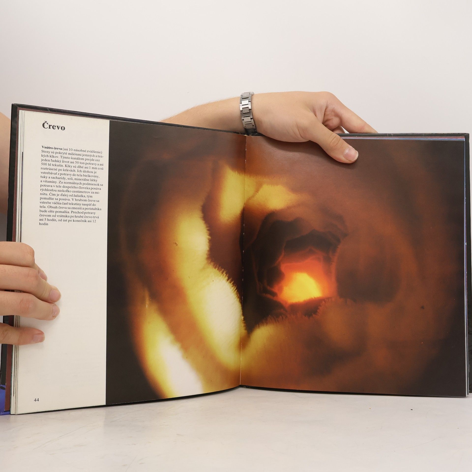 Various authors Ako sa nepoznáme: Objavná cesta s fotografickým aparátom do nášho tela