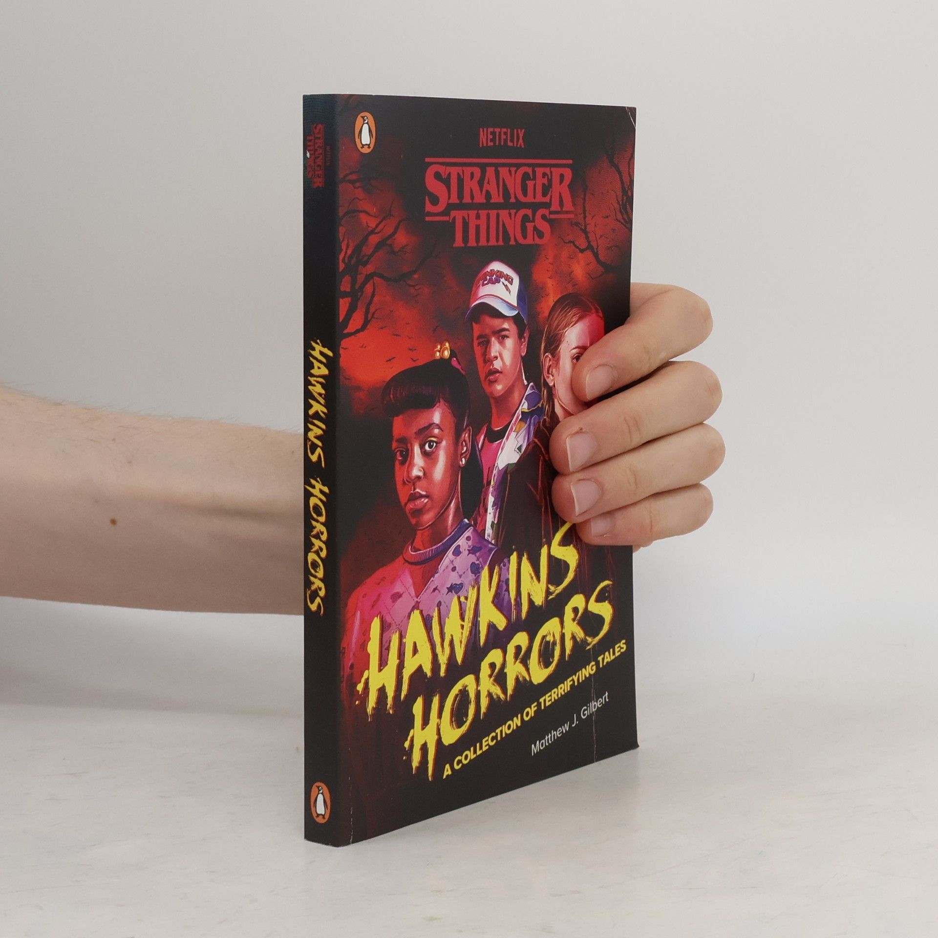 Matthew J. Gilbert Stranger Things: Hawkins Horrors