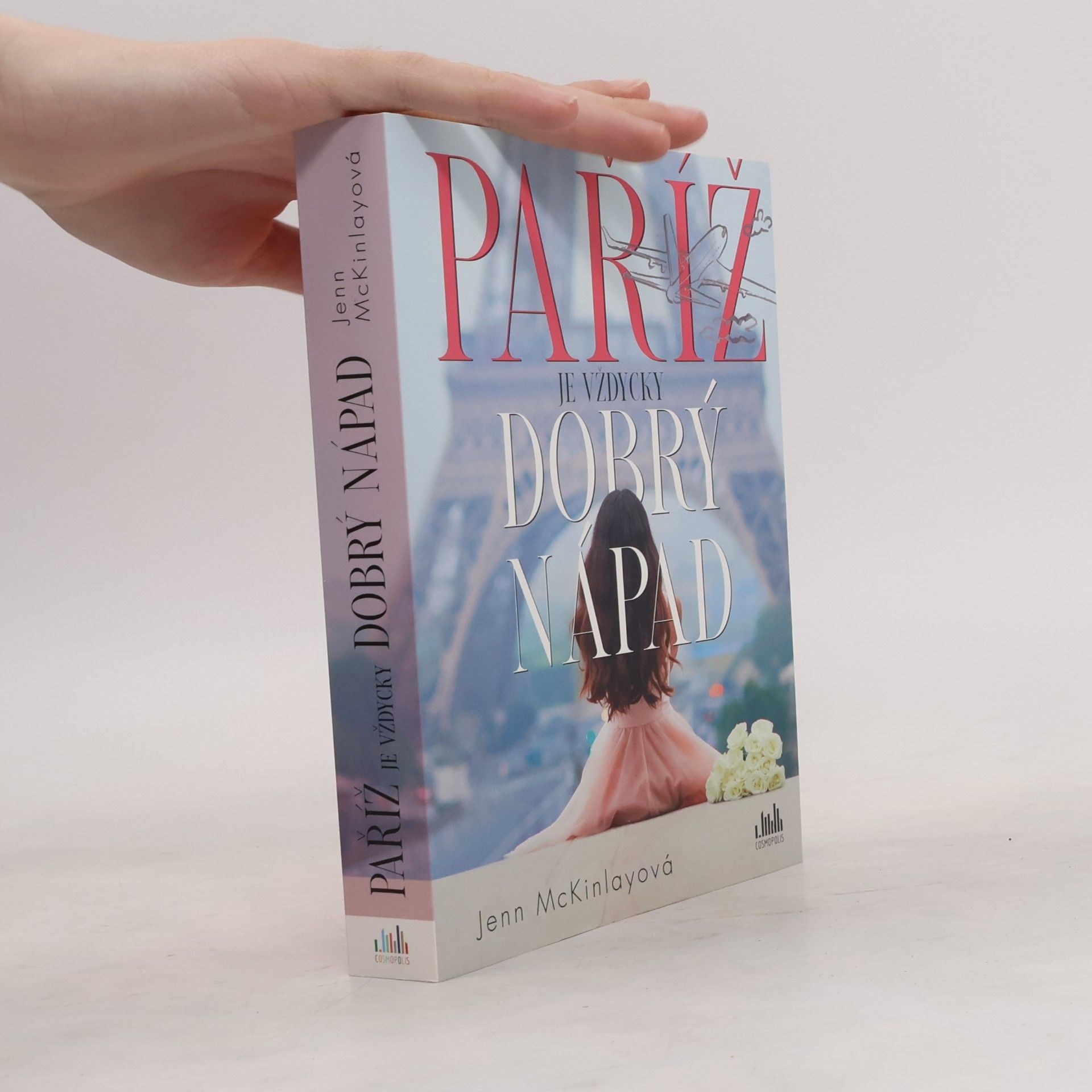 Jenn McKinlay Paříž je vždycky dobrý nápad