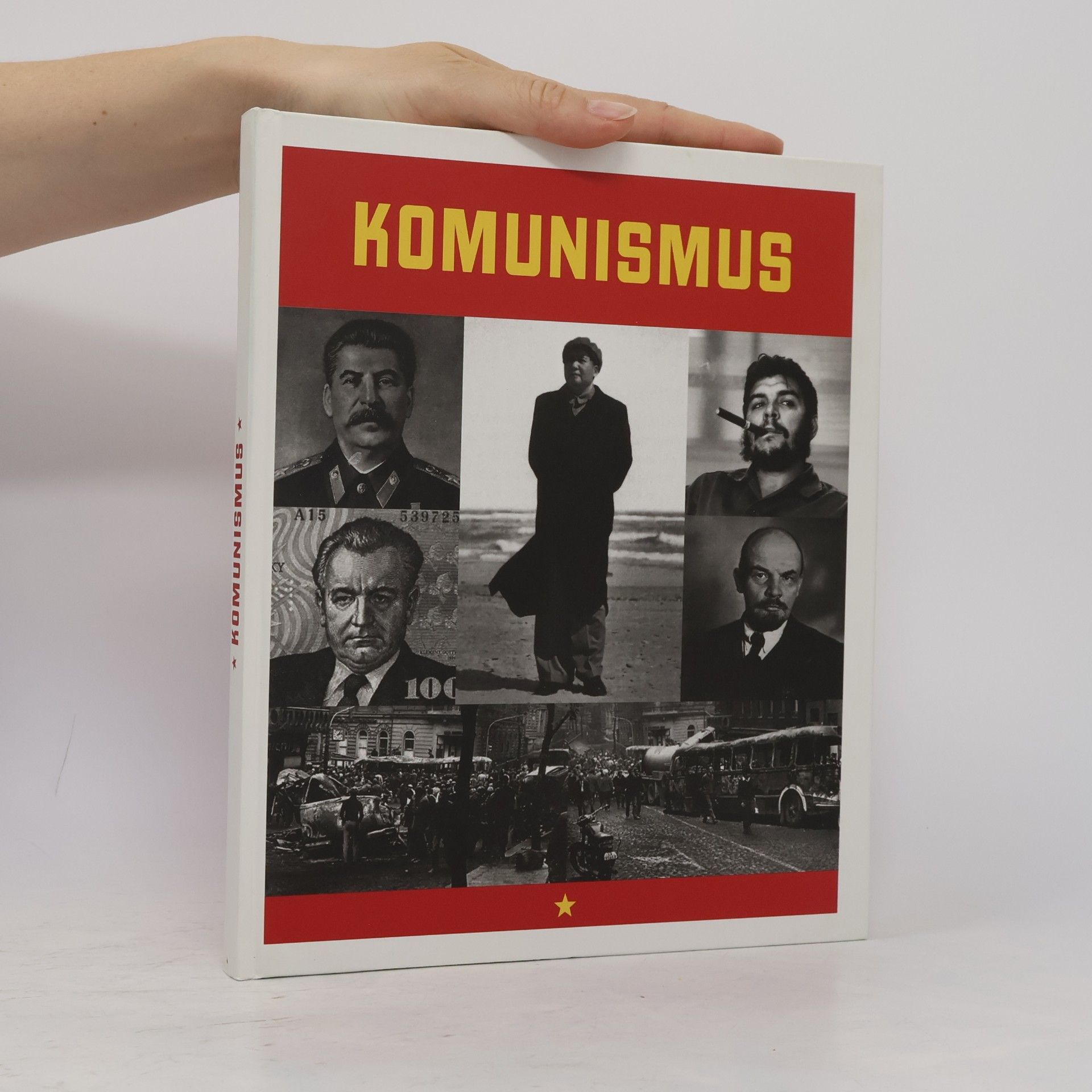 Marcello Flores Komunismus