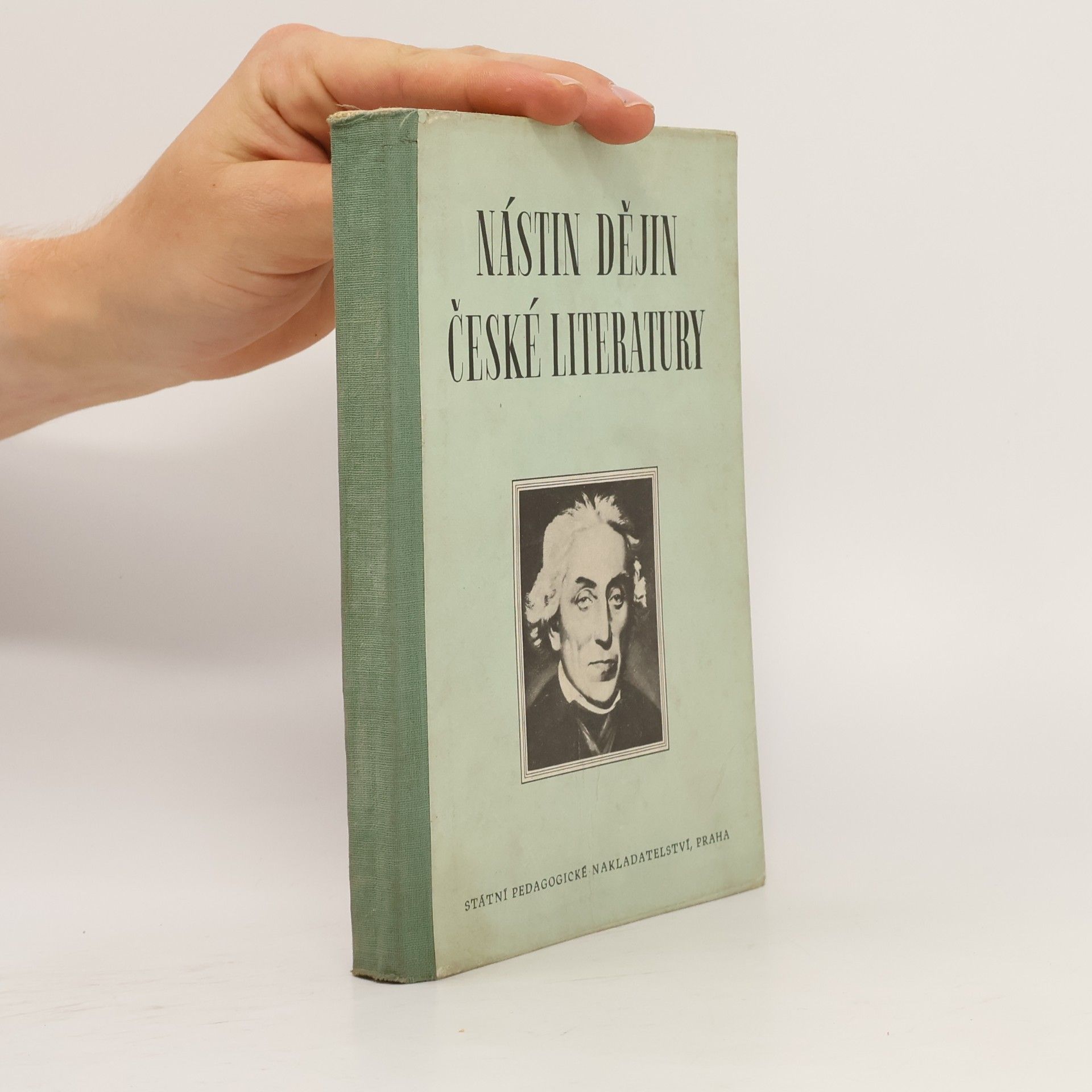 Nástin dějin české literatury