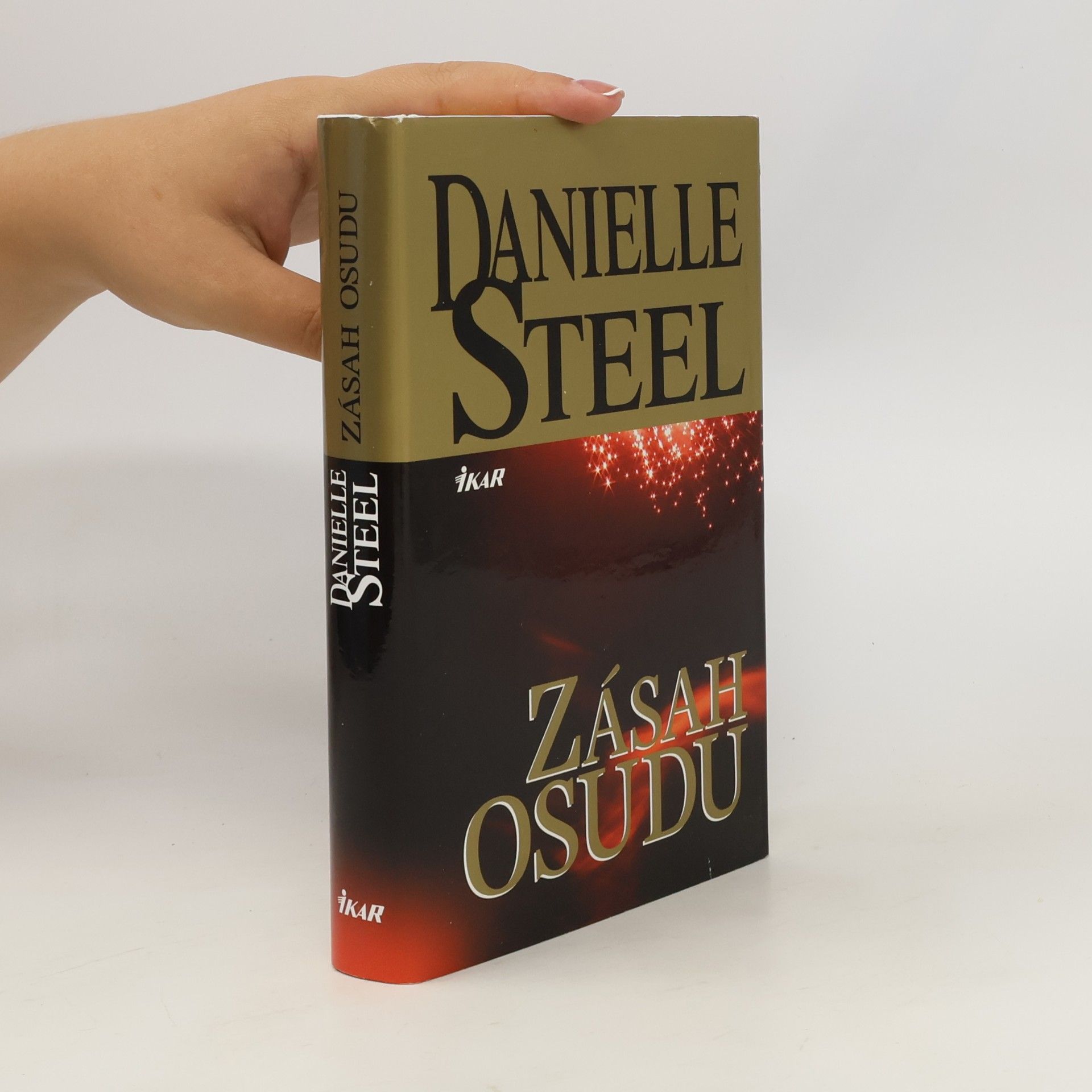 Danielle Steel Zásah osudu