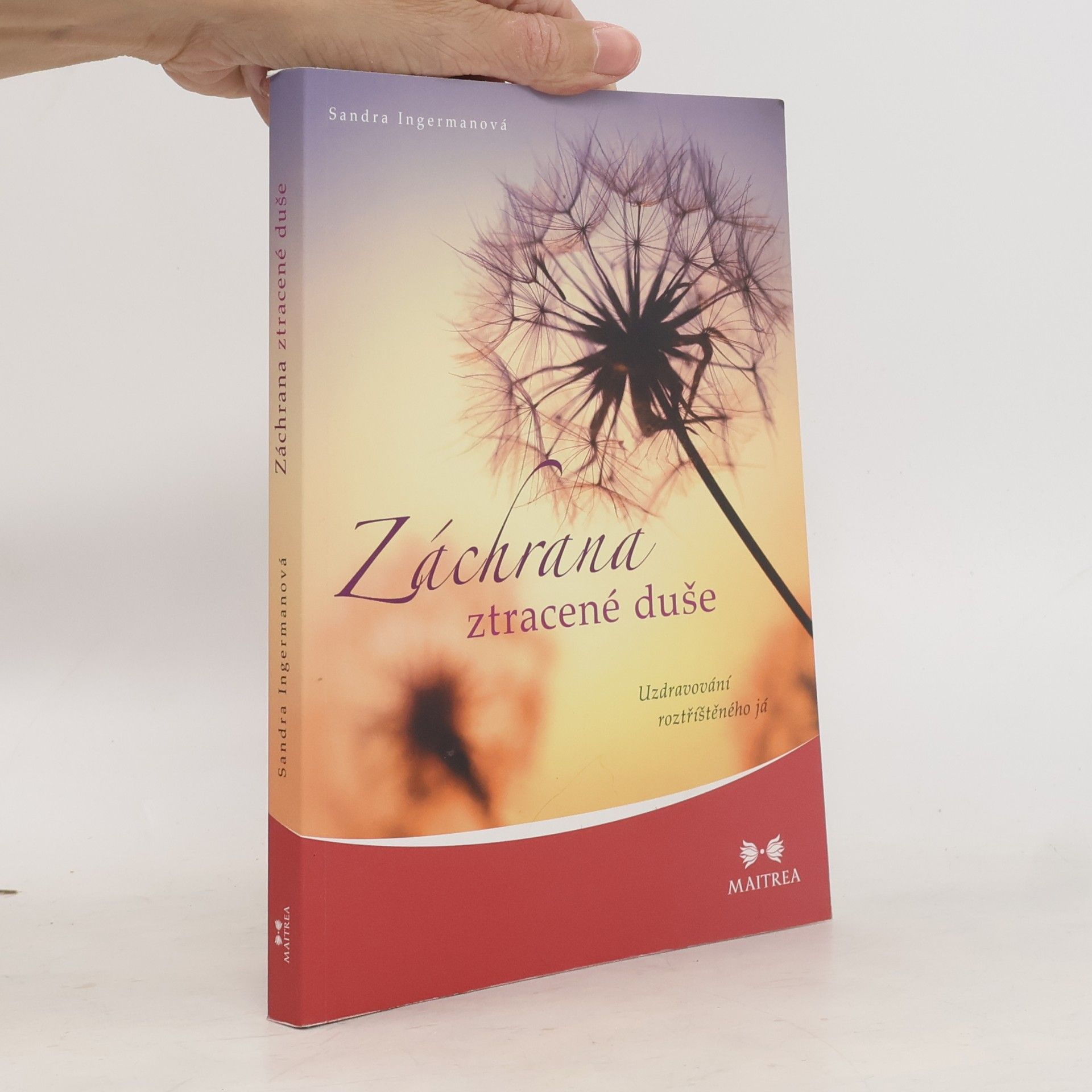 Záchrana ztracené duše. Uzdravování roztříštěného já