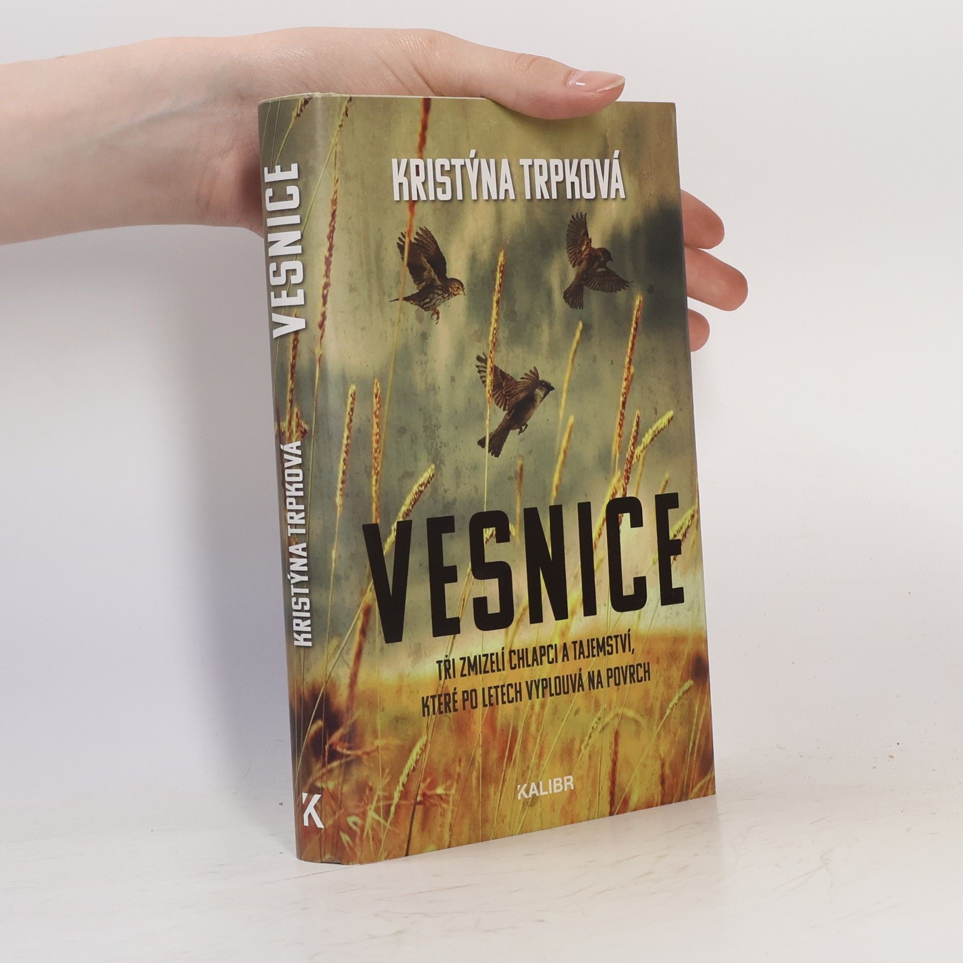 Kristýna Trpková Vesnice