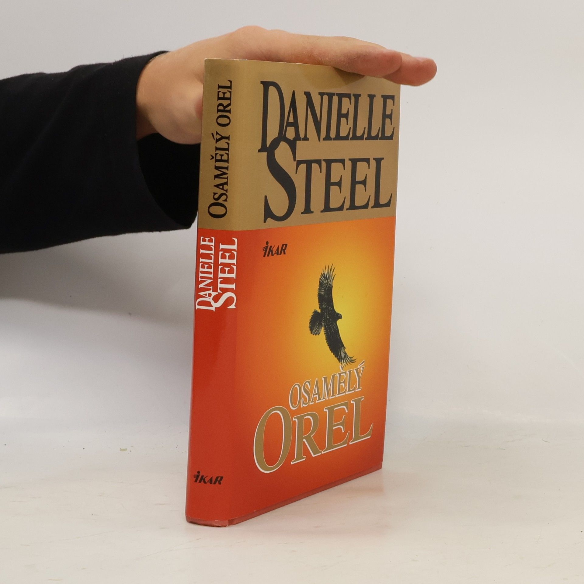 Danielle Steel Osamělý orel