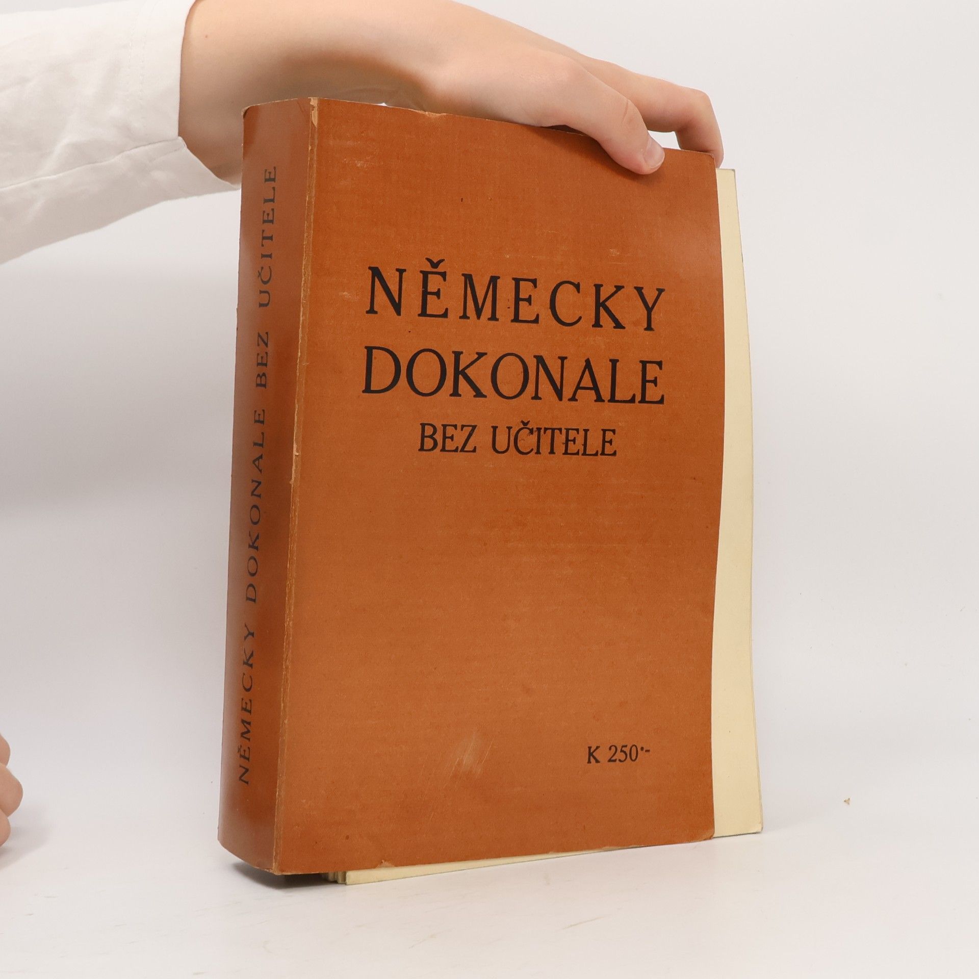 Bedřich Soukup Německy dokonale bez učitele