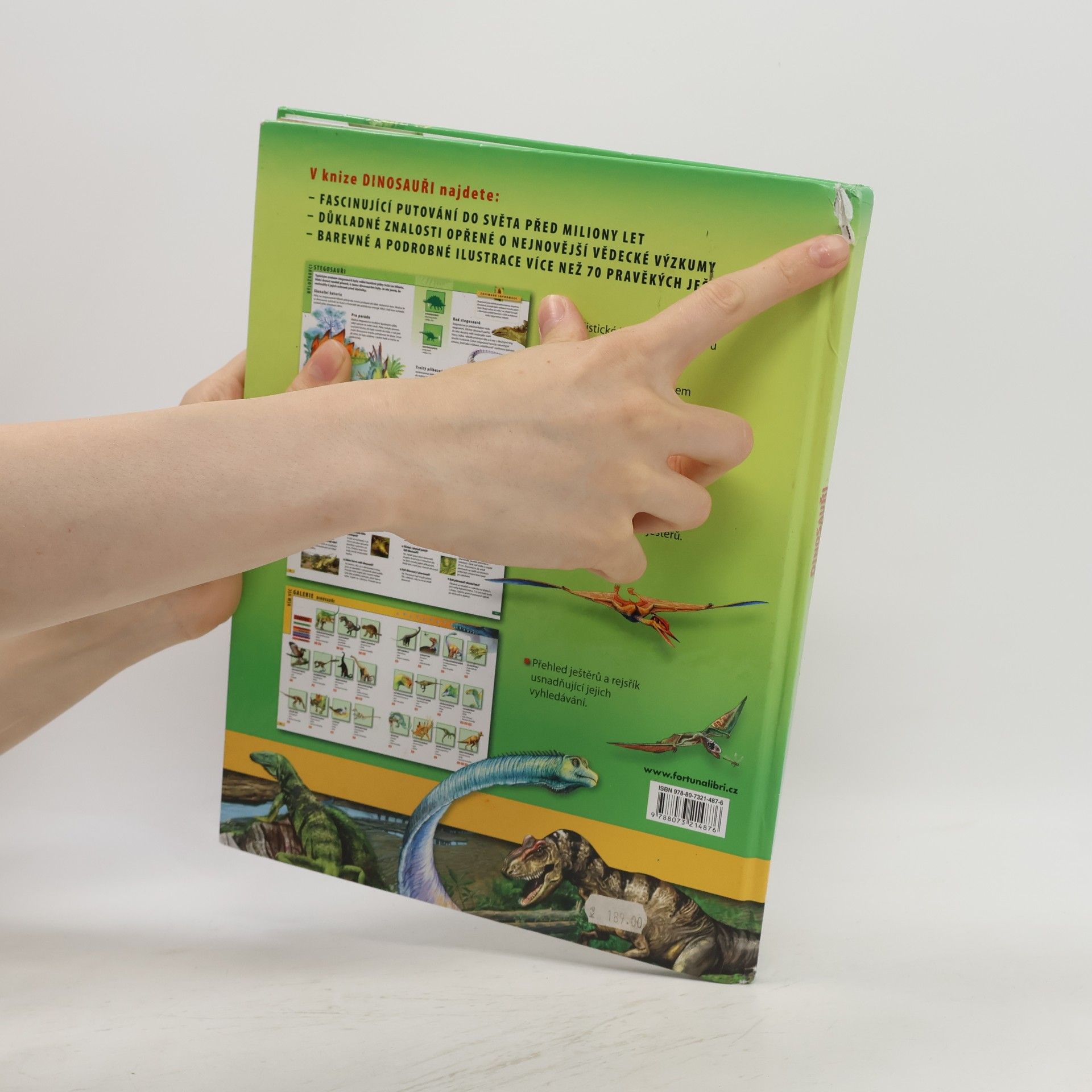 Barbara Majewska Dinosauři : encyklopedie pro děti ve věku 7-10 let