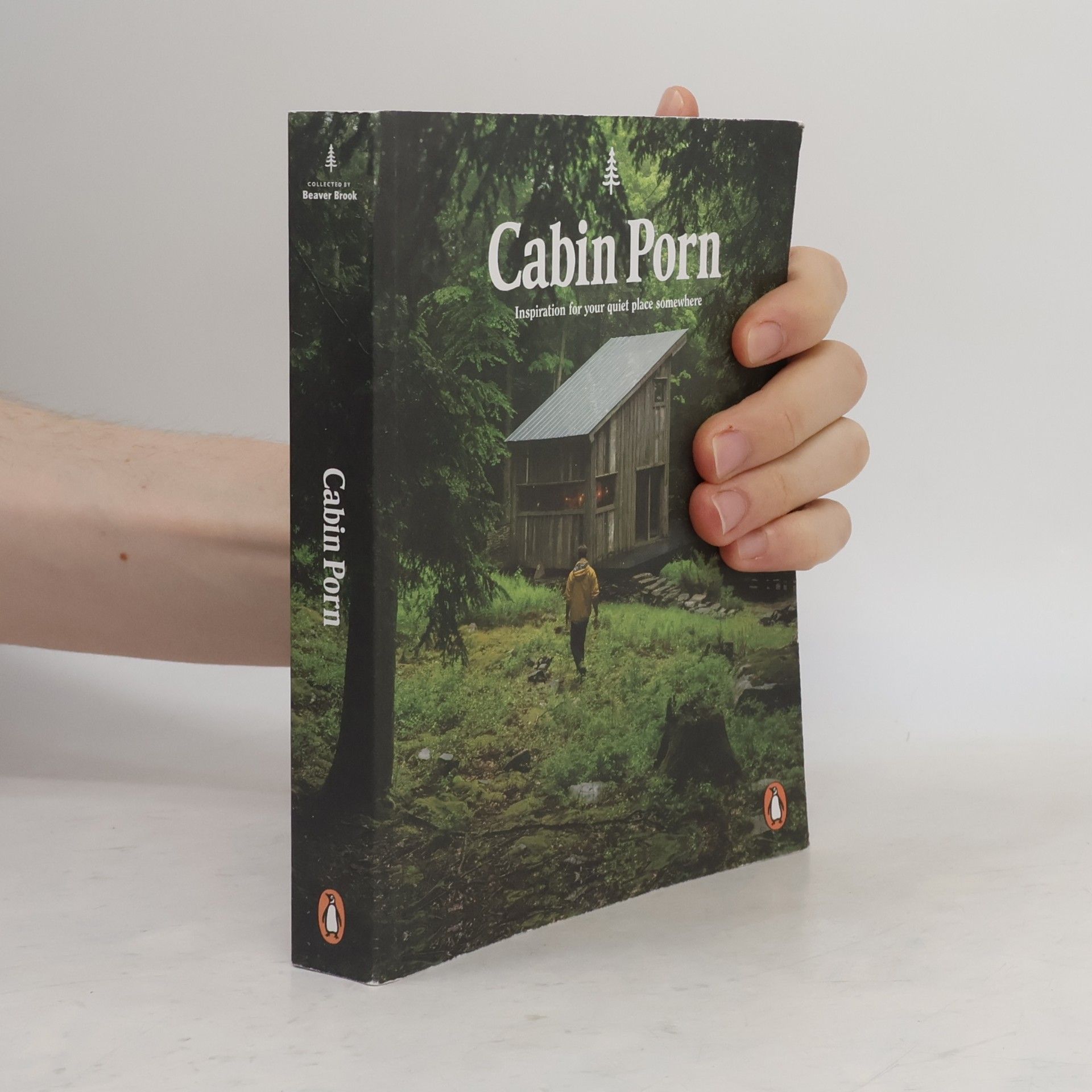 Cabin Porn