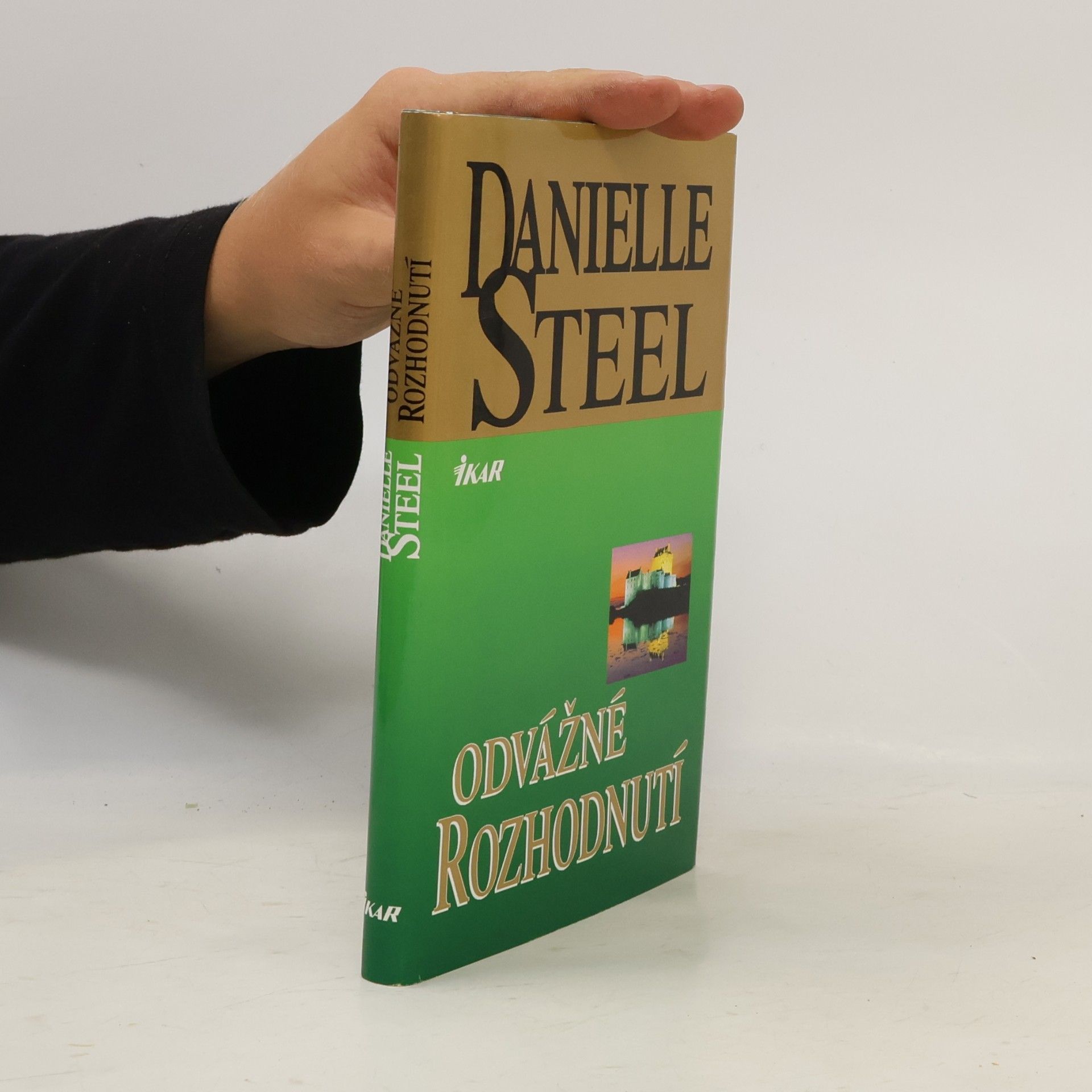 Danielle Steel Odvážné rozhodnutí
