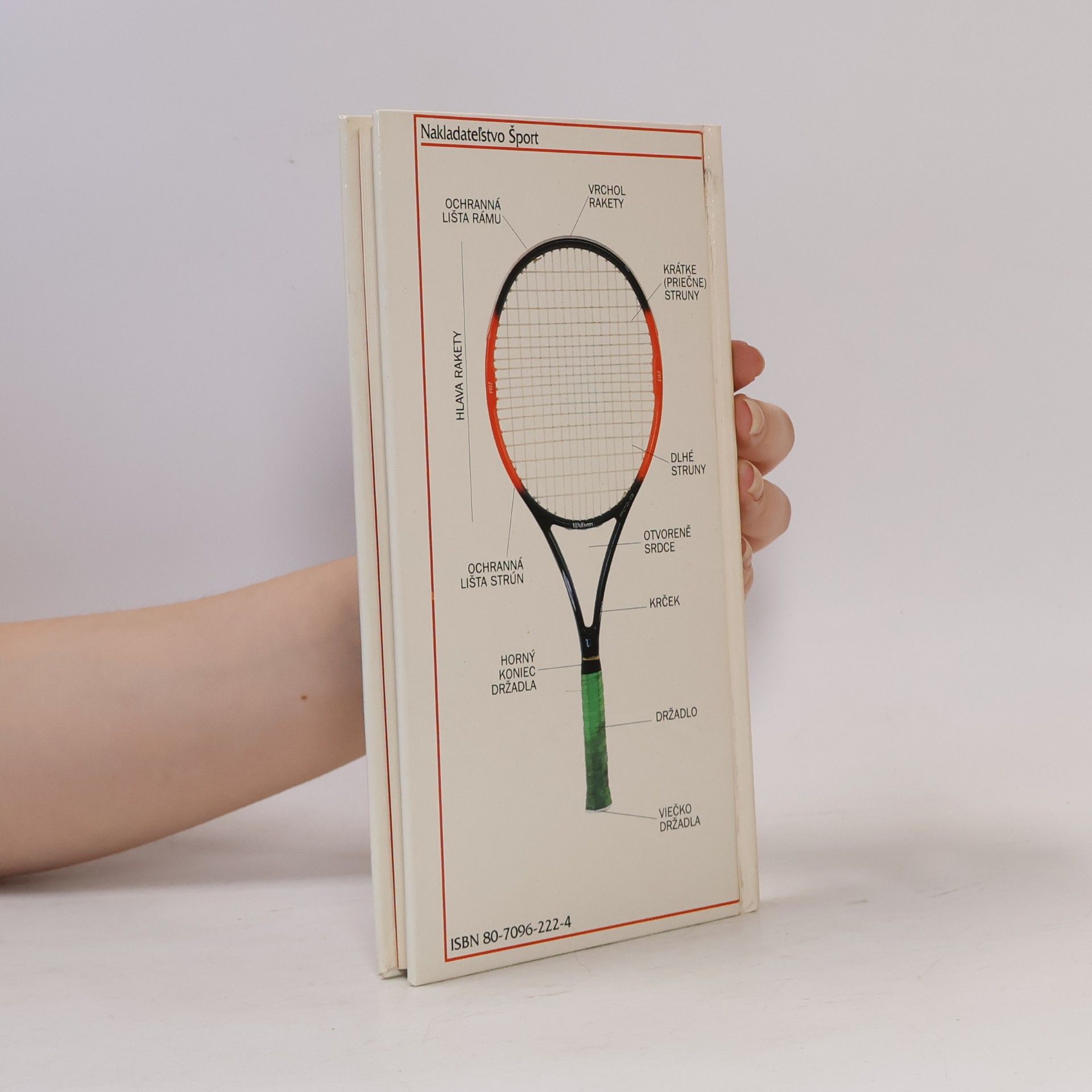 Miloslav Mečíř Tenis