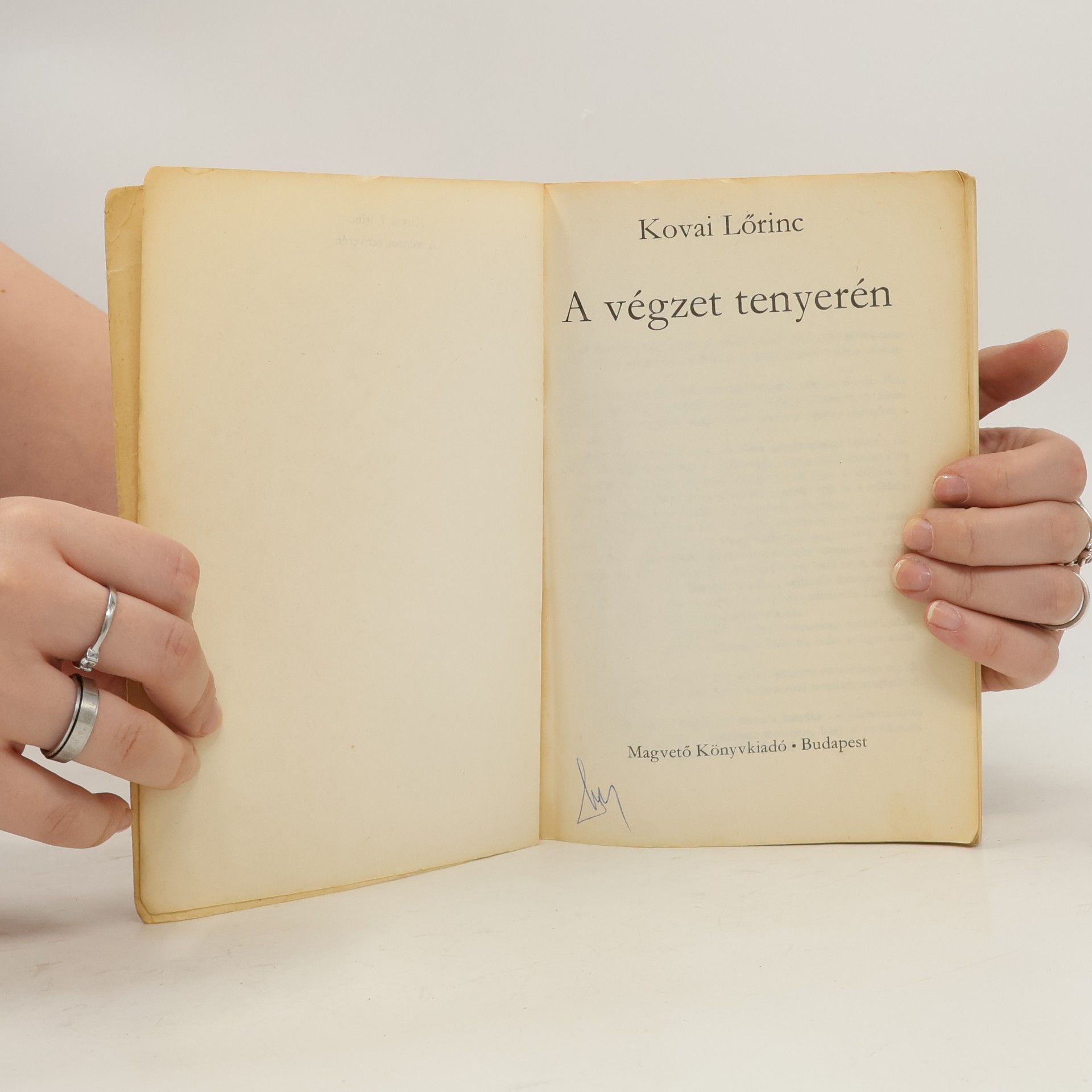 Lörinc Kovai A végzet tenyerén