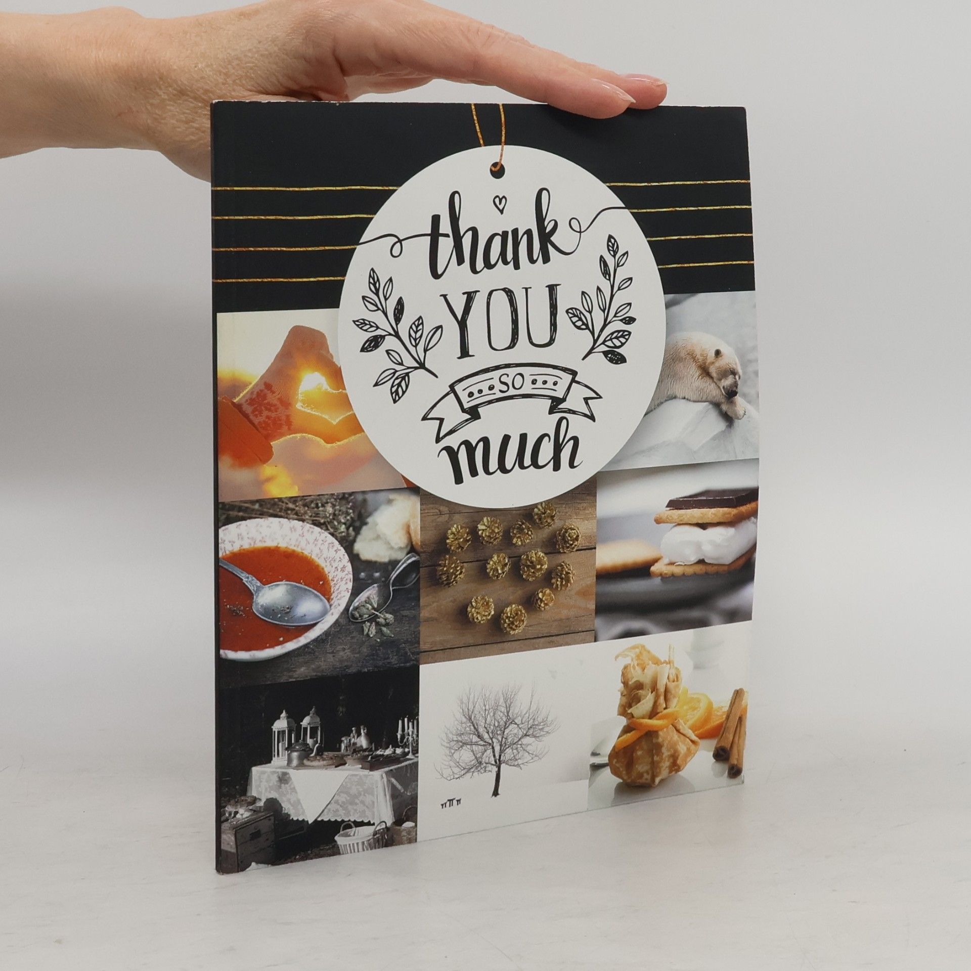 Autorenkollektiv Thank You So Much