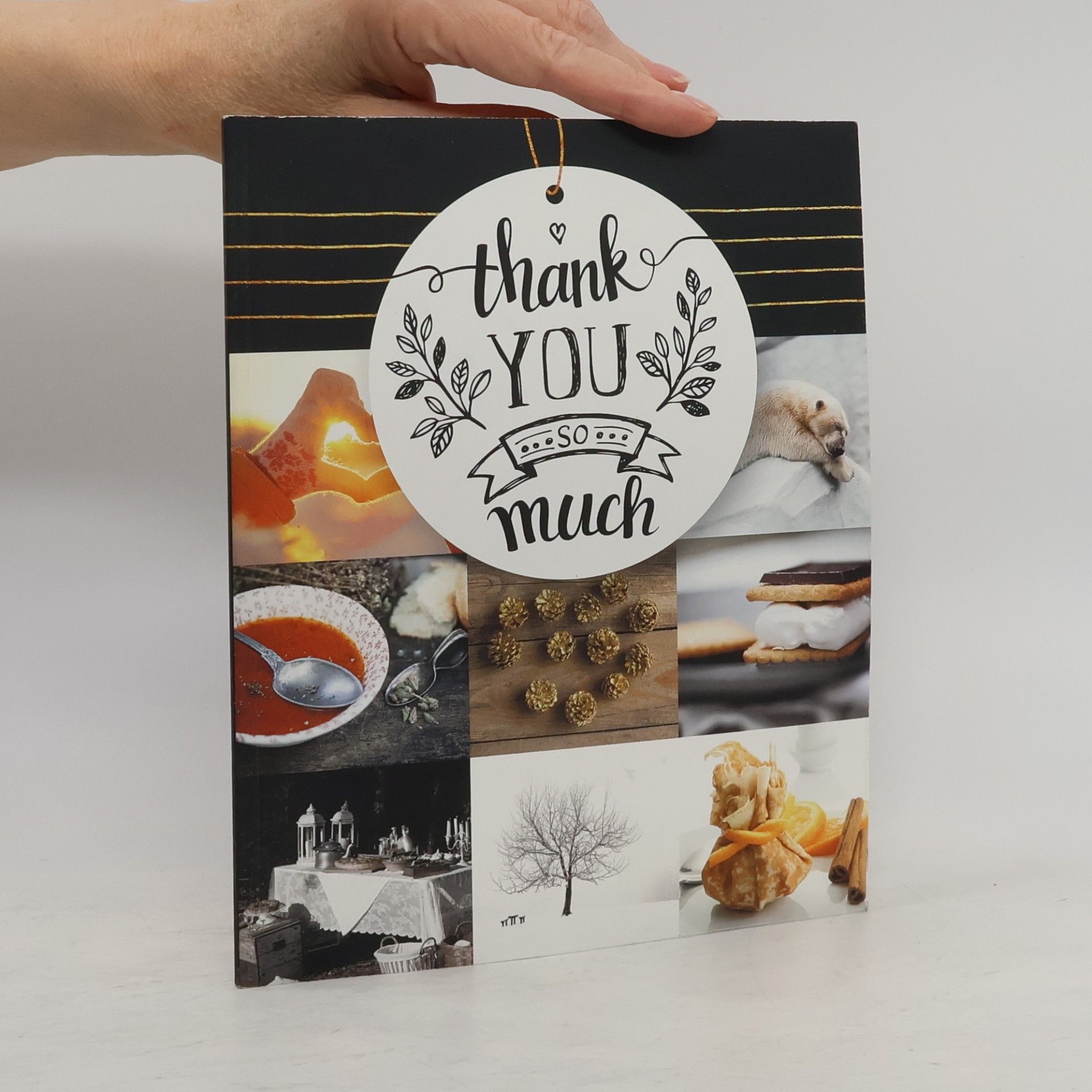 Autorenkollektiv Thank You So Much