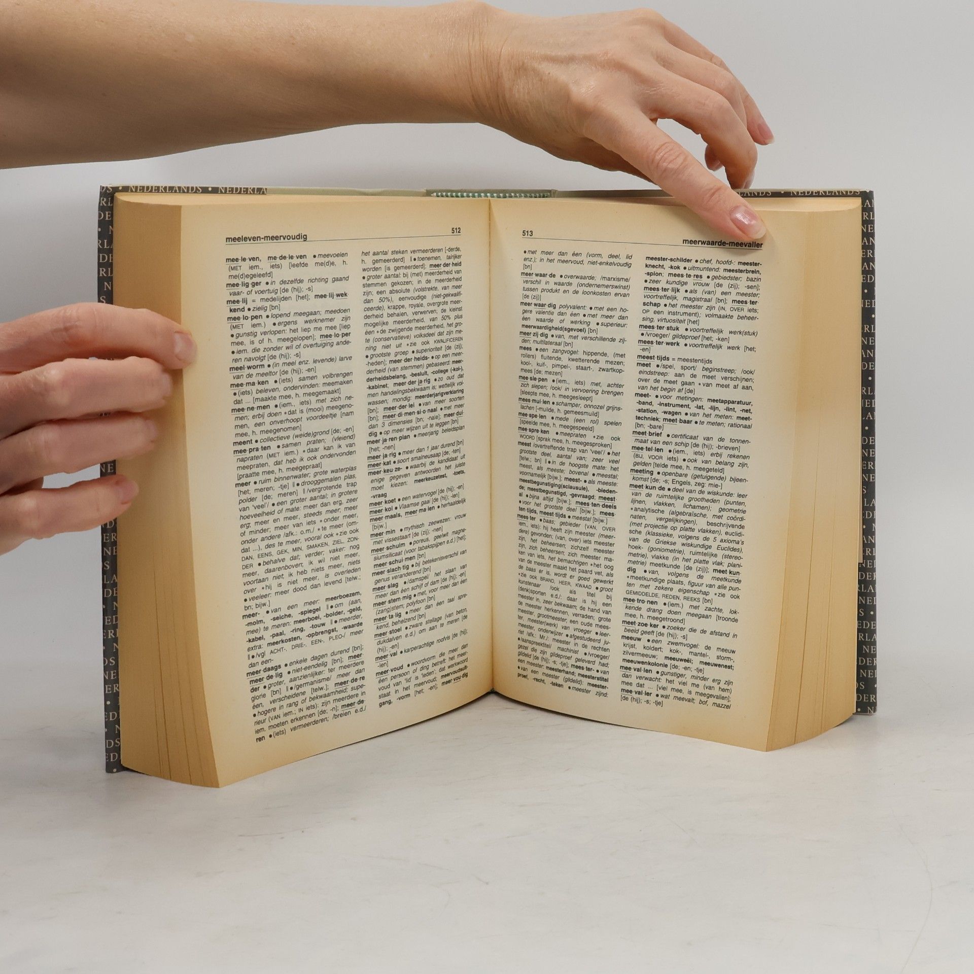 André Abeling Spectrum Woordenboek Nederlands