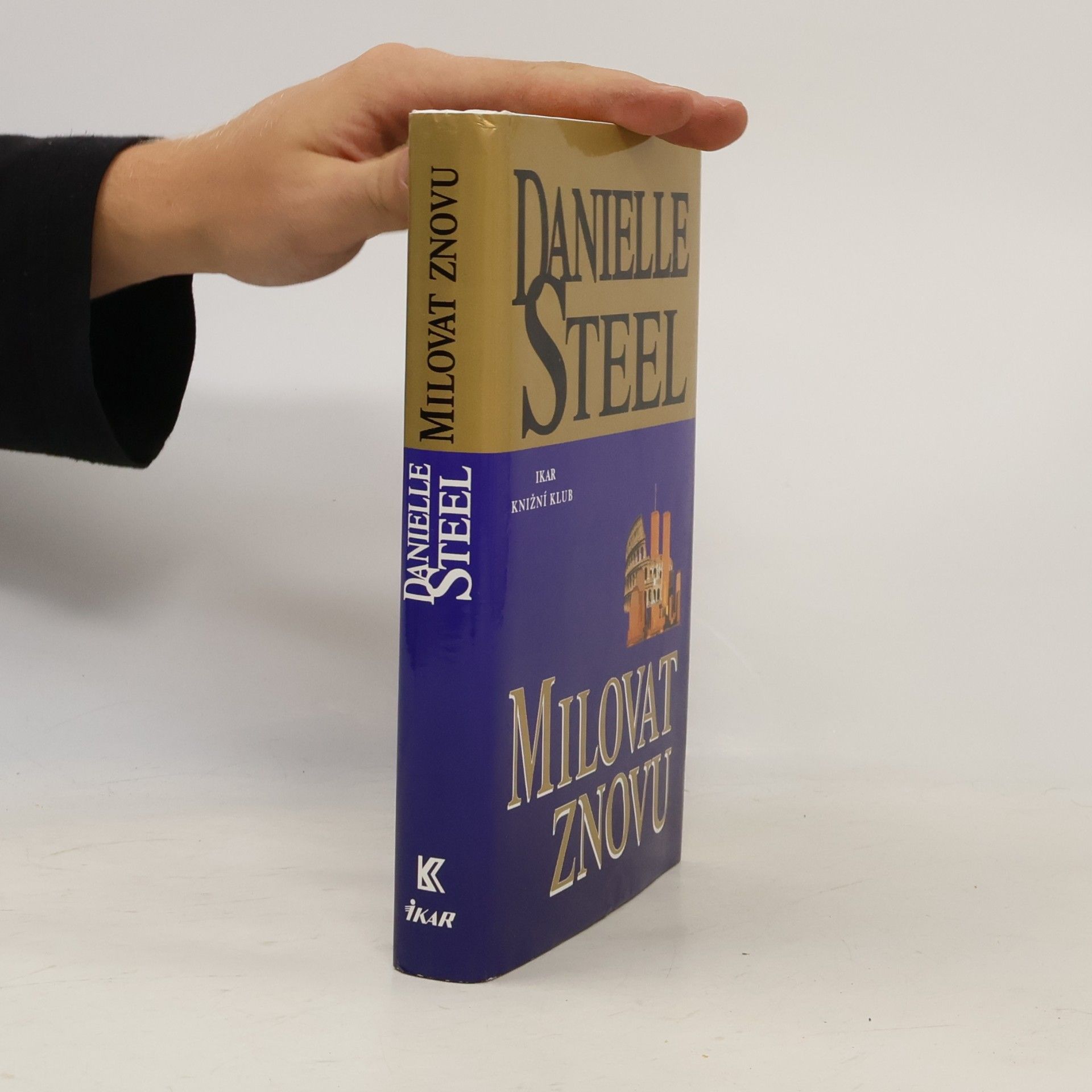 Danielle Steel Milovat znovu